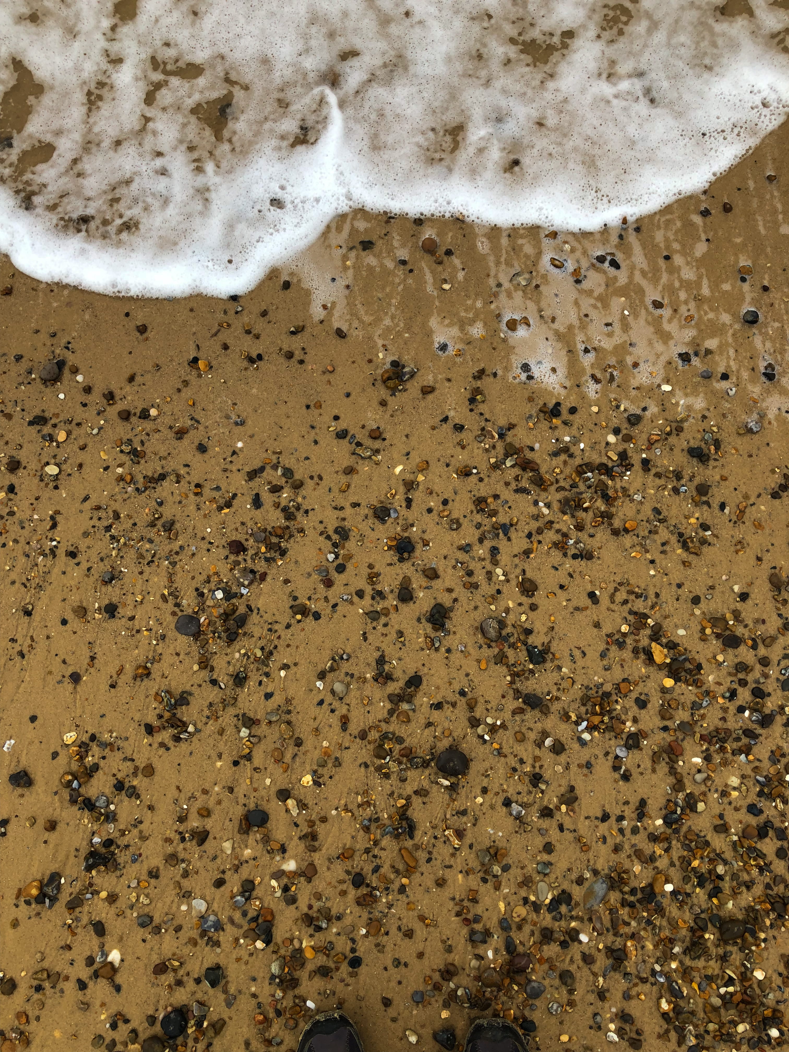 aquatic sport, insect, wave, beach, foam, surfing, water, mold, bee, motion, 4K, brown, land, honey bee, sea, nature, dirt road, mud, sport, drink, animal, Phone HD Wallpaper