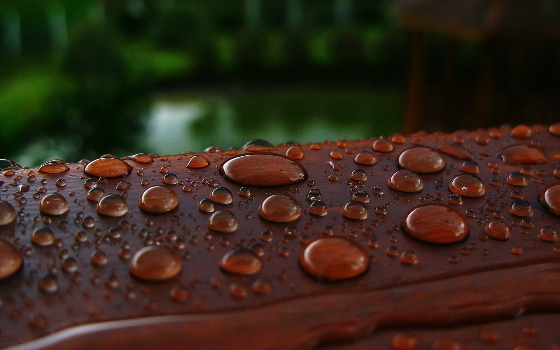 day, abstract, dew, metal, reflection, pattern, rainy season, drops, liquid, rain, nature, finance, leaf, summer, bubble, tranquility, macro, 1080P, drop, HD Wallpaper