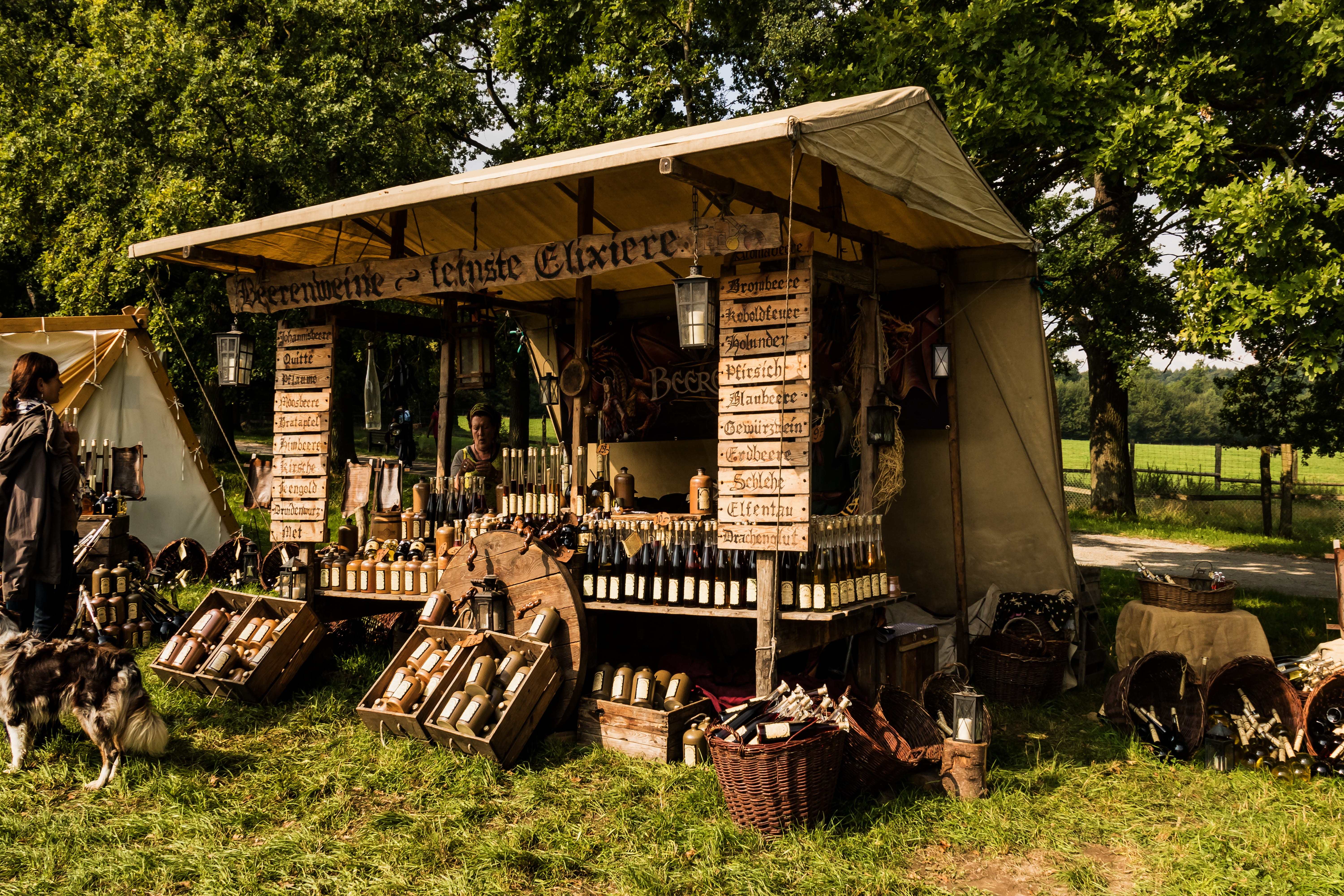 medieval, sunlight, mammal, nature, field, day, knight, domestic, market, animal themes, grass, architecture, old market, middle ages, no people, plant, HD Wallpaper