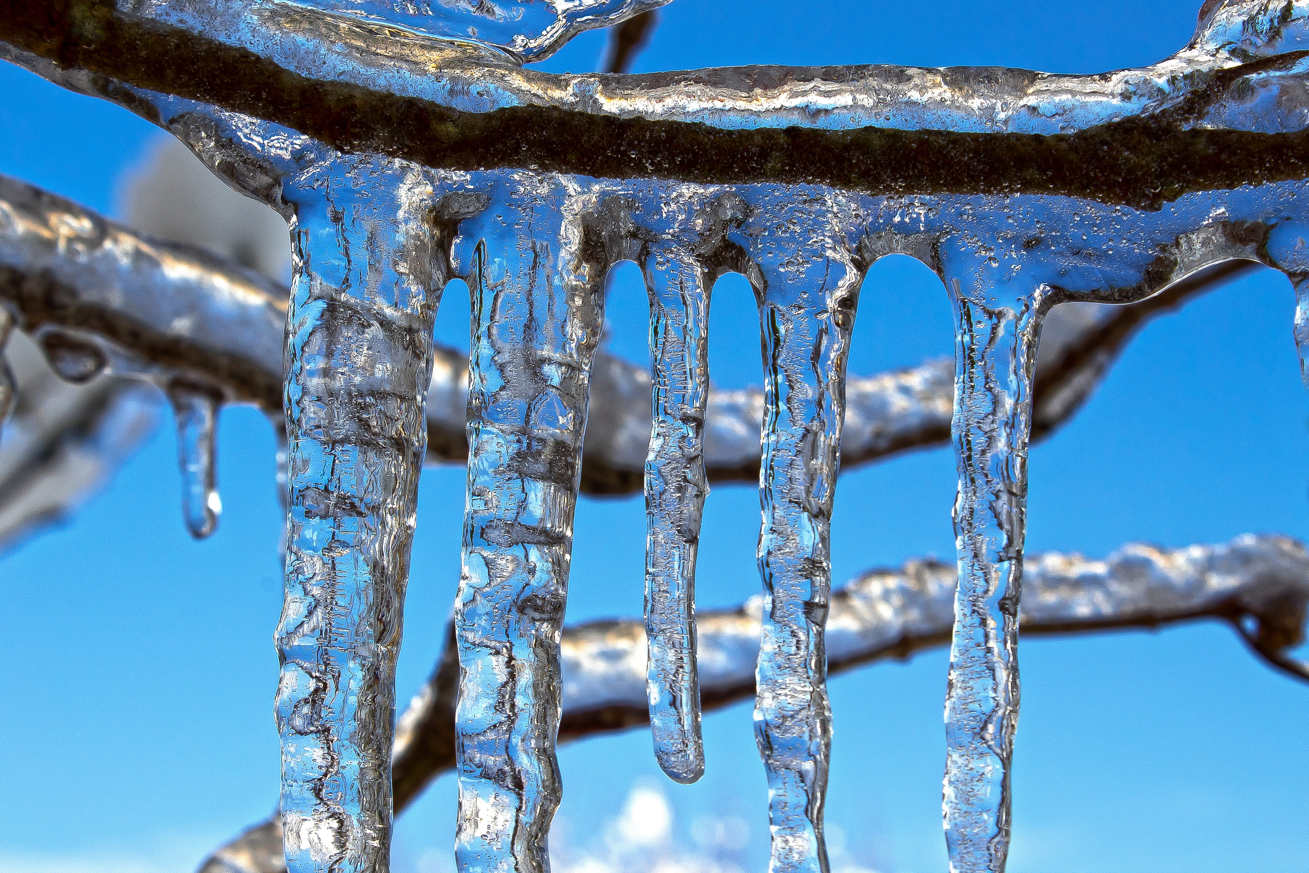 purity, nature, outdoors, crystal, cold temperature, environment, branch, icicle, snow, tranquility, melting, icy, beauty in nature, close-up, on frozen, HD Wallpaper