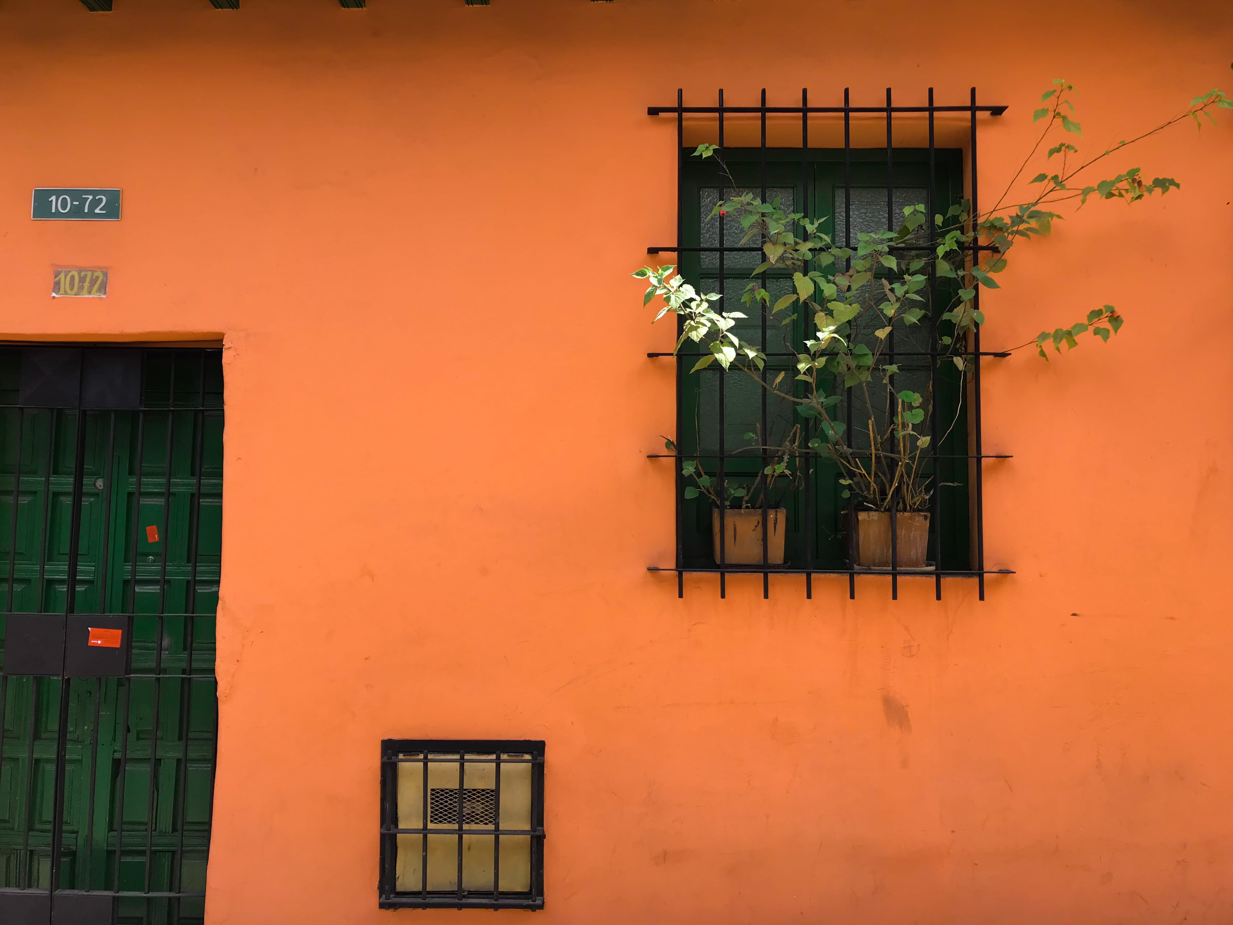 residential district, urban, orange color, 4K, outdoors, growth, wooden door, day, built structure, wooden, bars, plants, nature, window, architecture, HD Wallpaper