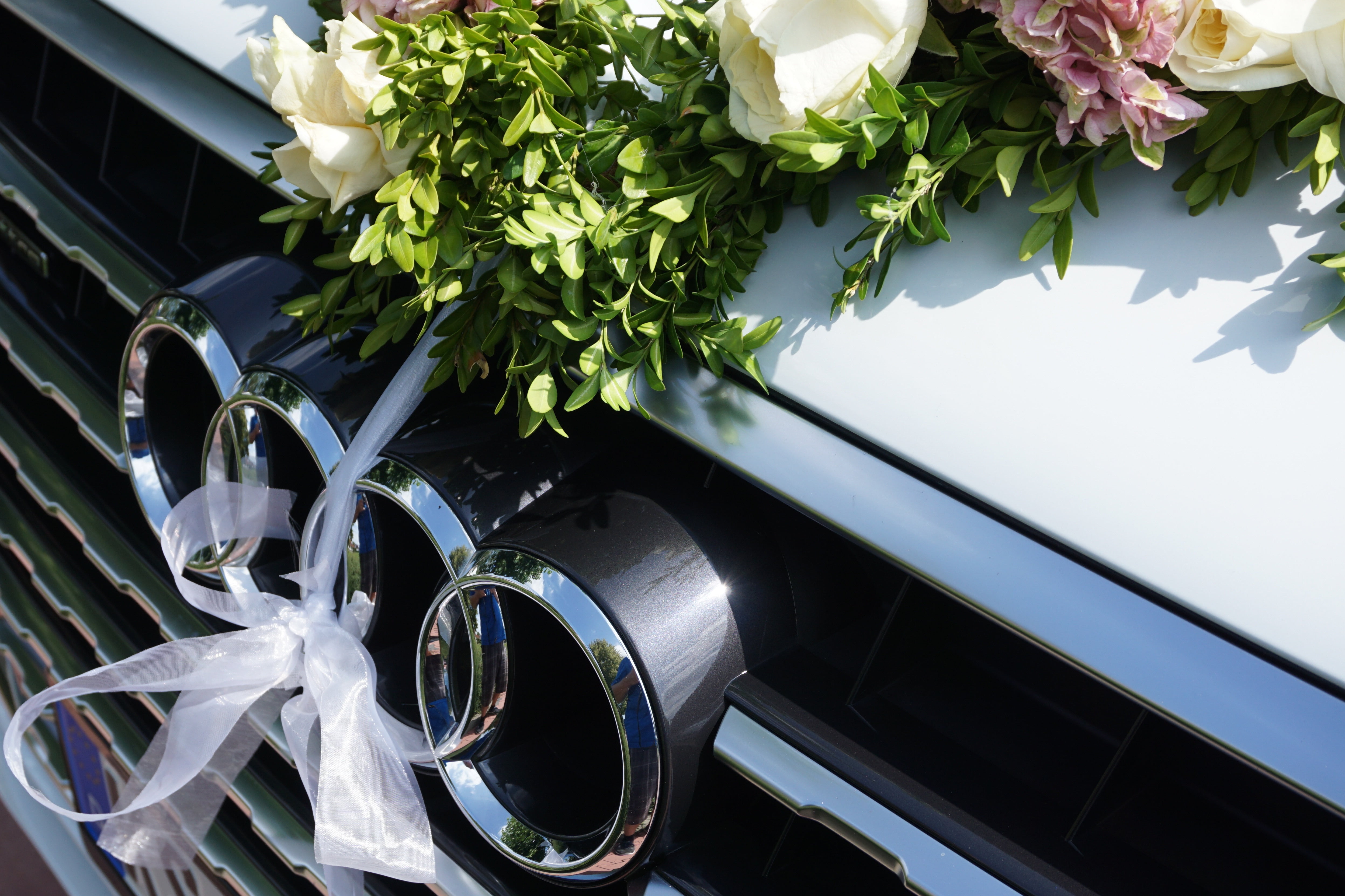 metal, freshness, colors, leaf, growth, beauty in nature, flower head, plant, logo, audi, day, plant part, business, flower arrangement, land Vehicle, flower, HD Wallpaper