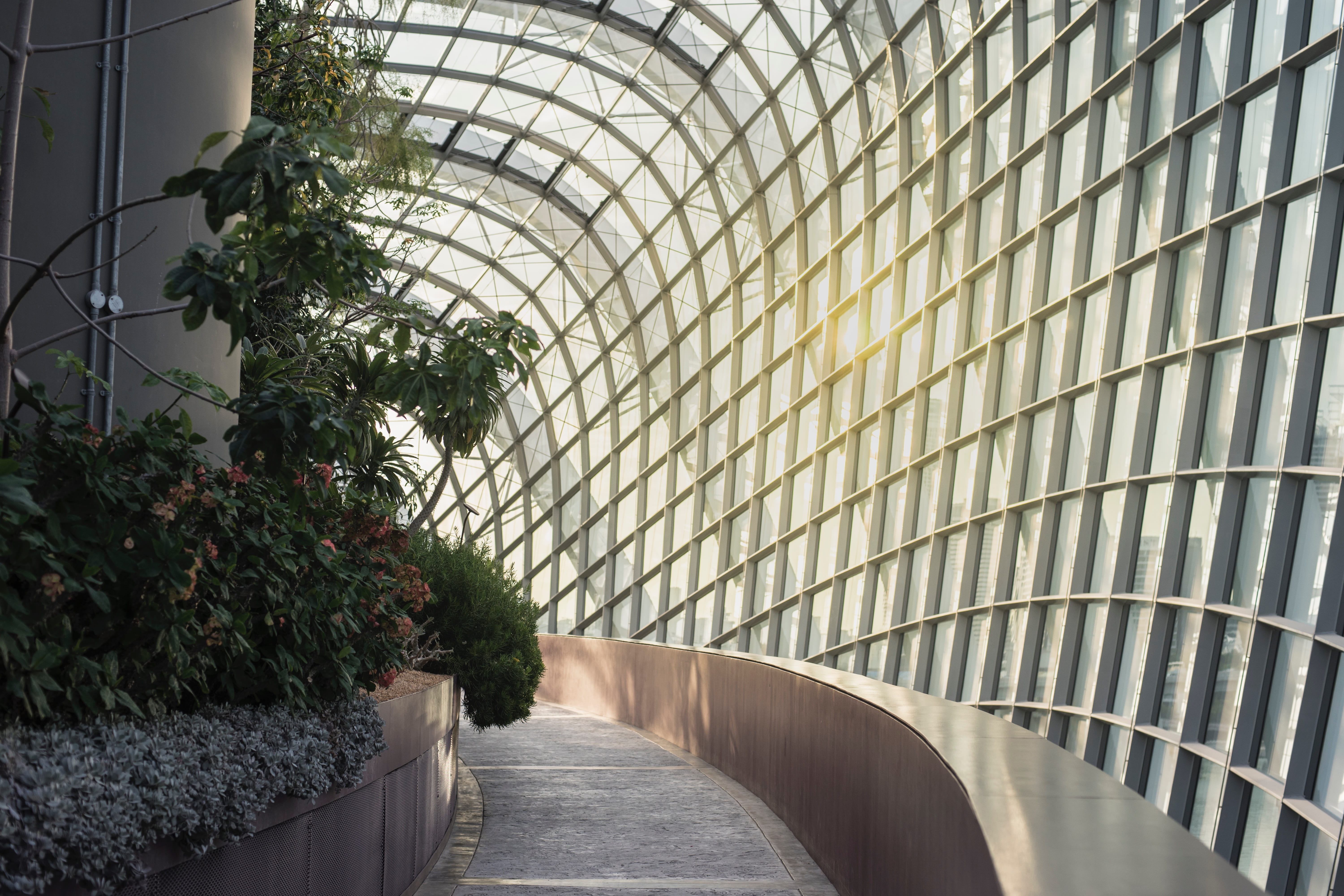 footpath, wall - building feature, plant, building, tree, built structure, pattern, potted plant, city, curve, growth, nature, building exterior, 5K, infrastructure, HD Wallpaper