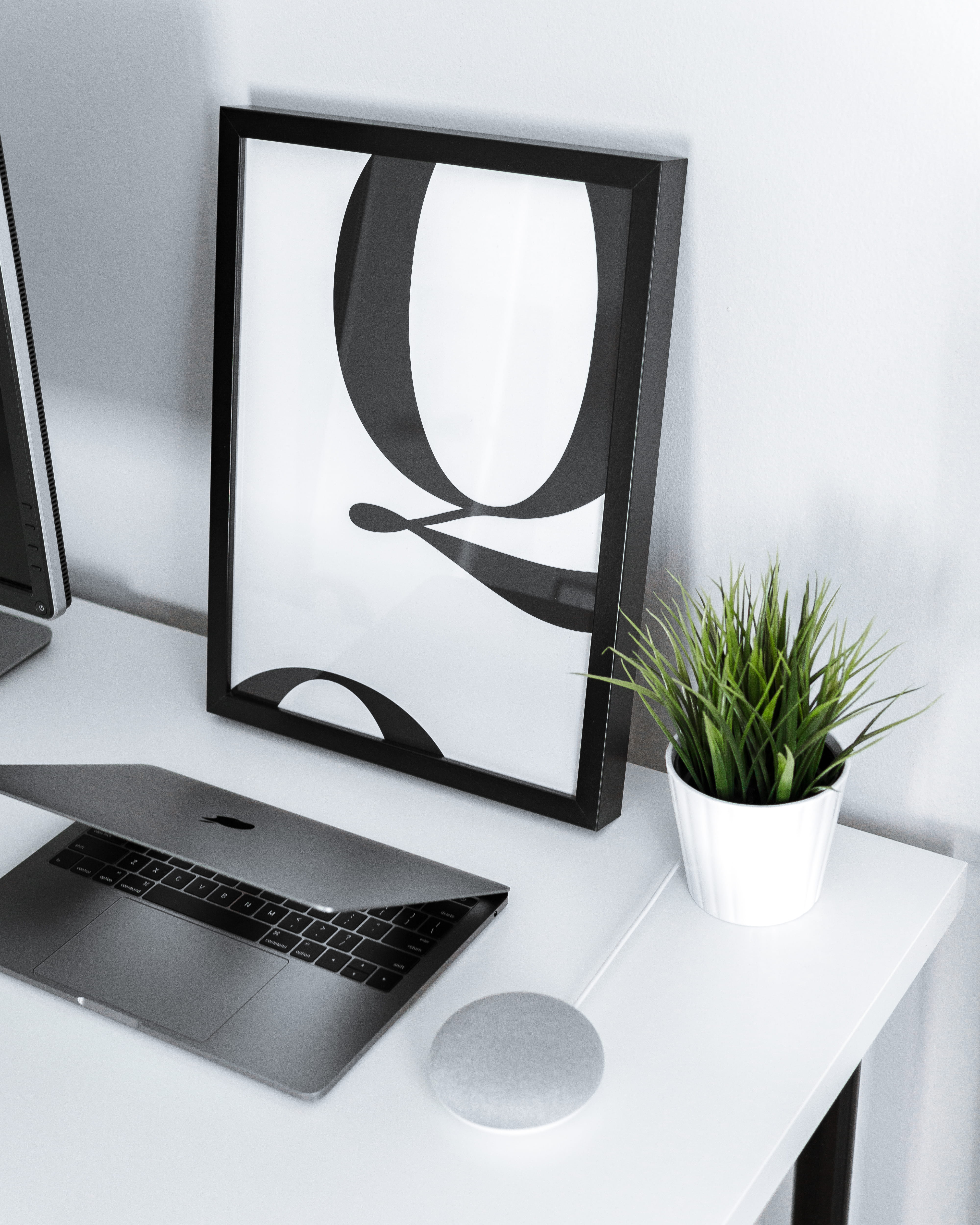 plant, computer, white color, home interior, nature, google, table, 4K, air, growth, day, home, charcoal, modern, technology, steel, wireless technology, Phone HD Wallpaper