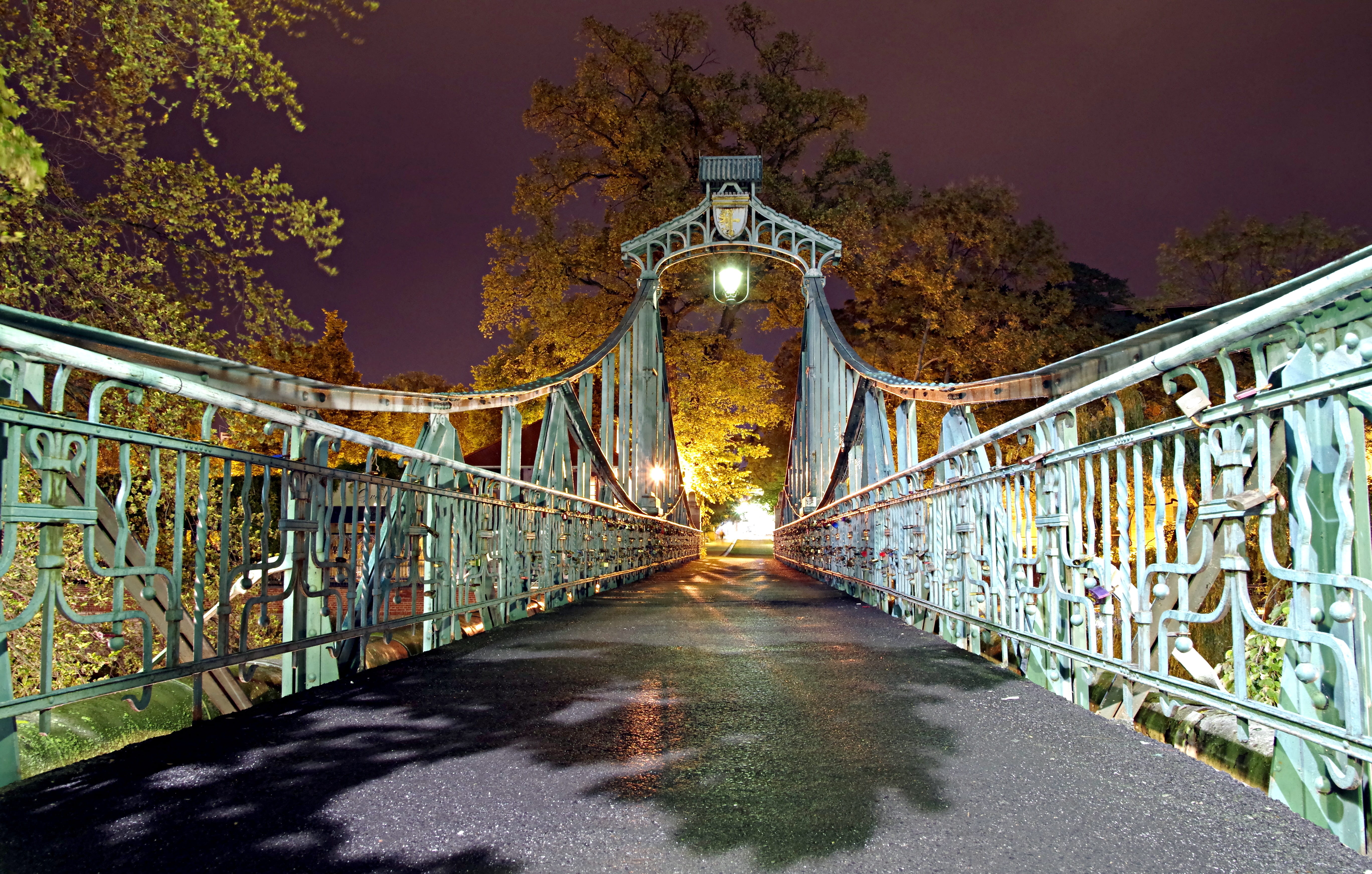 lamp, transportation, forged, architecture, fairytale, railings, nature, tree, footpath, outdoors, illuminated, decorated with, photo night, climate, building exterior, HD Wallpaper