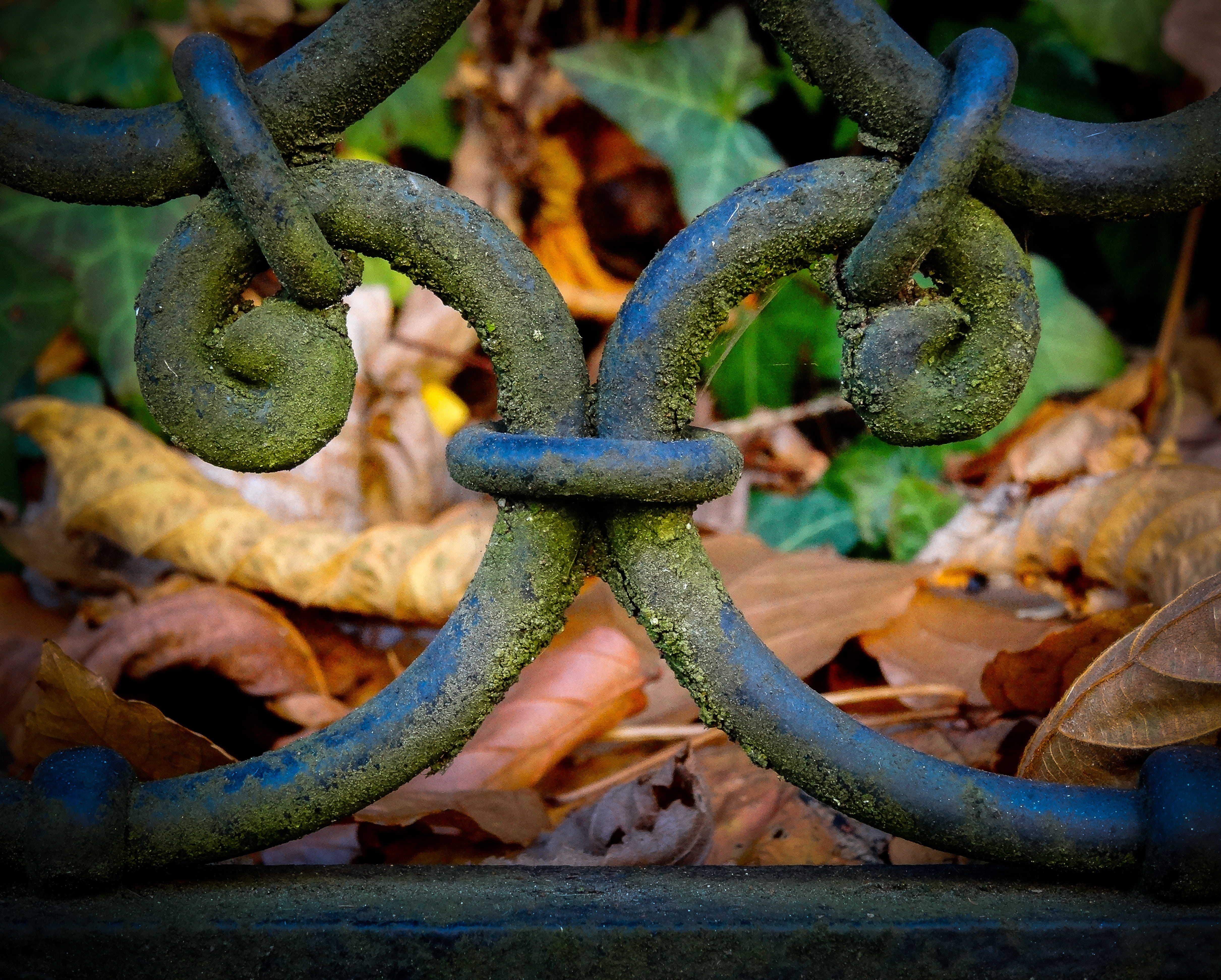 safety, outdoors, wrought iron, metal art, iron fence, day, barrier, nature, security, rusty, fence, metal gate, iron - metal, wheel, boundary, no people, HD Wallpaper