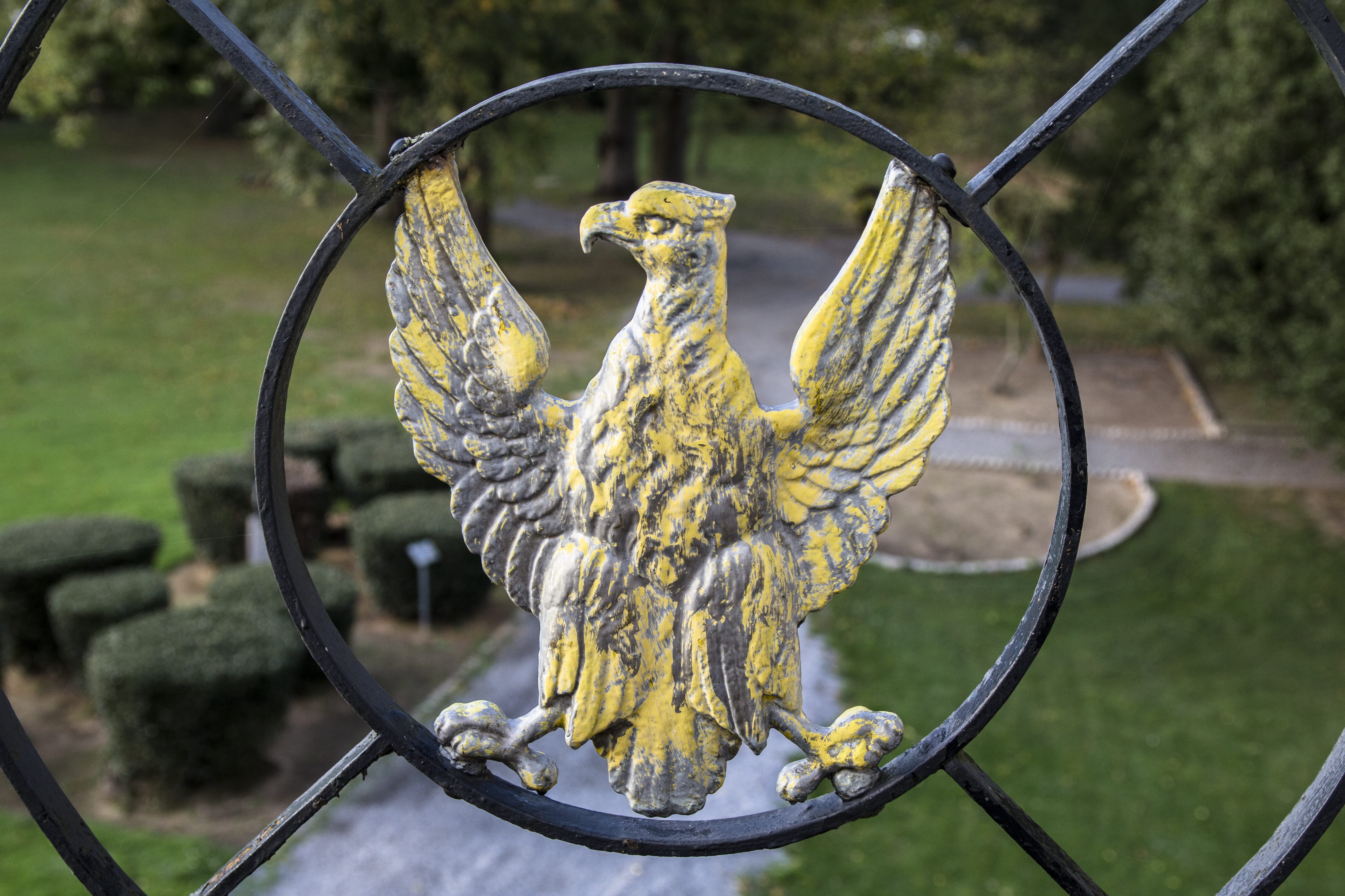 creativity, statue, eagle, day, focus on foreground, close-up, representation, human representation, metal, nature, 5K, boundary, barrier, outdoors, fence, HD Wallpaper