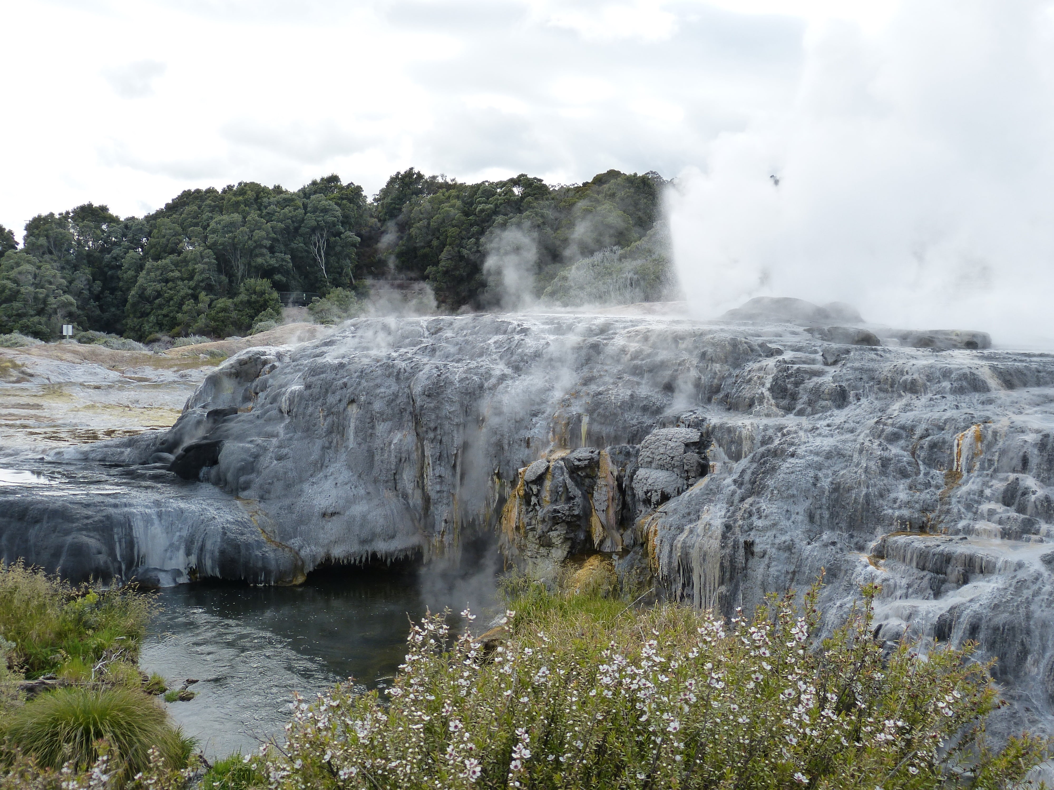tranquil scene, north island, plant, rotorua, hot, fountain, new zealand, landscape, nature, steam, environment, power in nature, power, sky, day, outdoors, HD Wallpaper