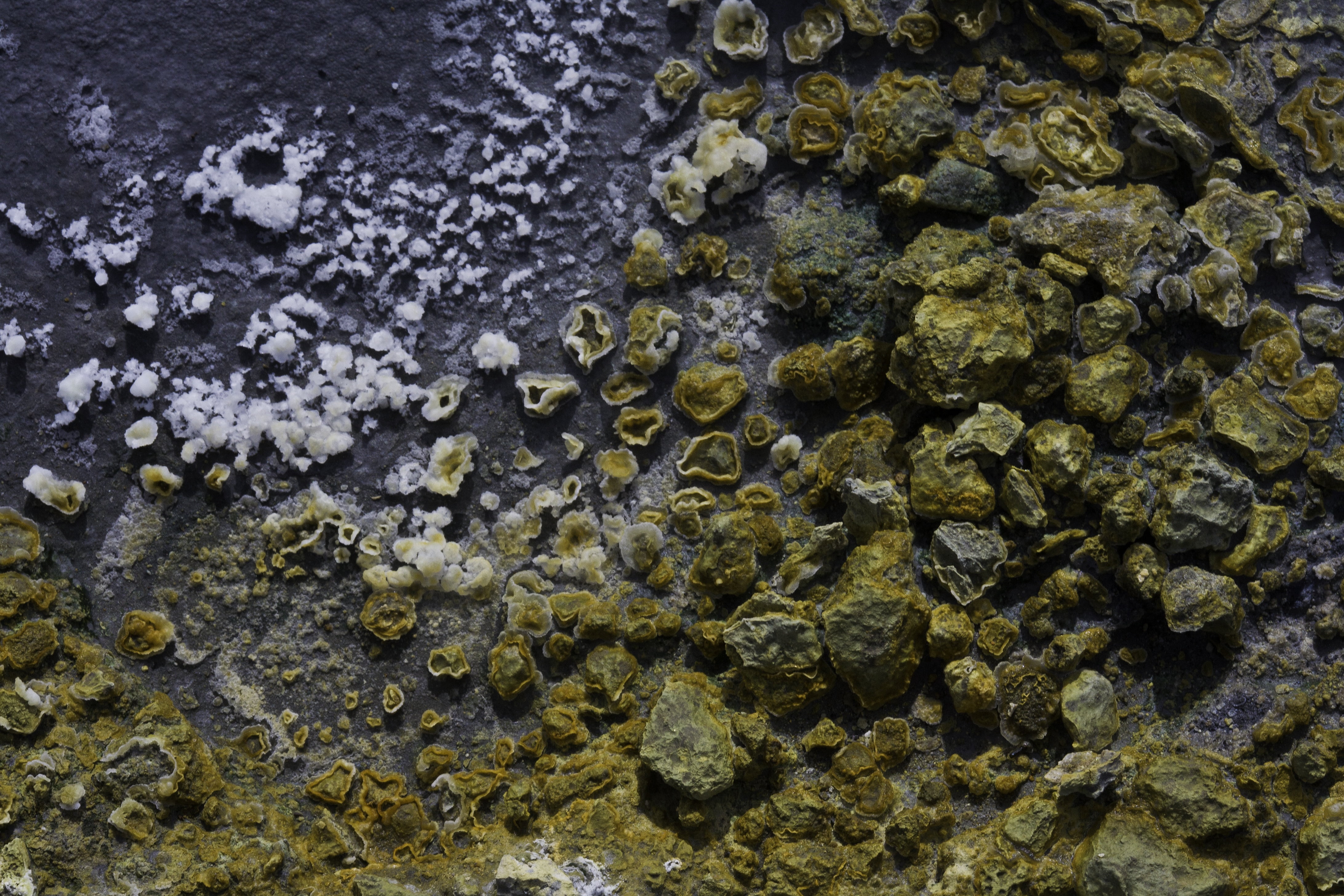 nature, textured, travel, pattern, rock, crater, thermal, formation, outdoor, hot springs, day, volcano, detail, water, close-up, beach, close up, high angle view, HD Wallpaper