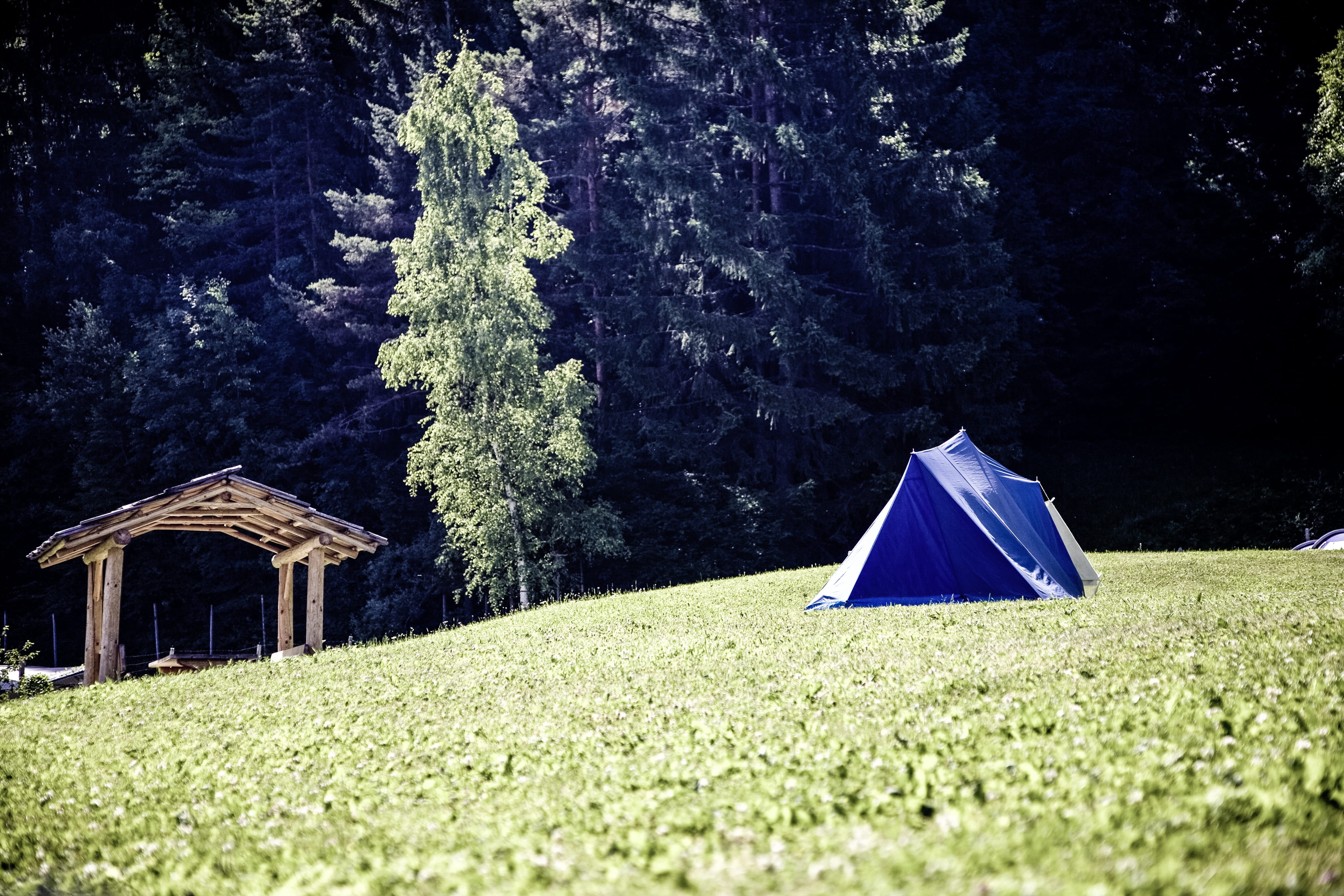 field, camper, holidays, day, green color, scenics - nature, beauty in nature, tent, 4K, tranquil scene, no people, outdoors, land, path finder, grass, HD Wallpaper