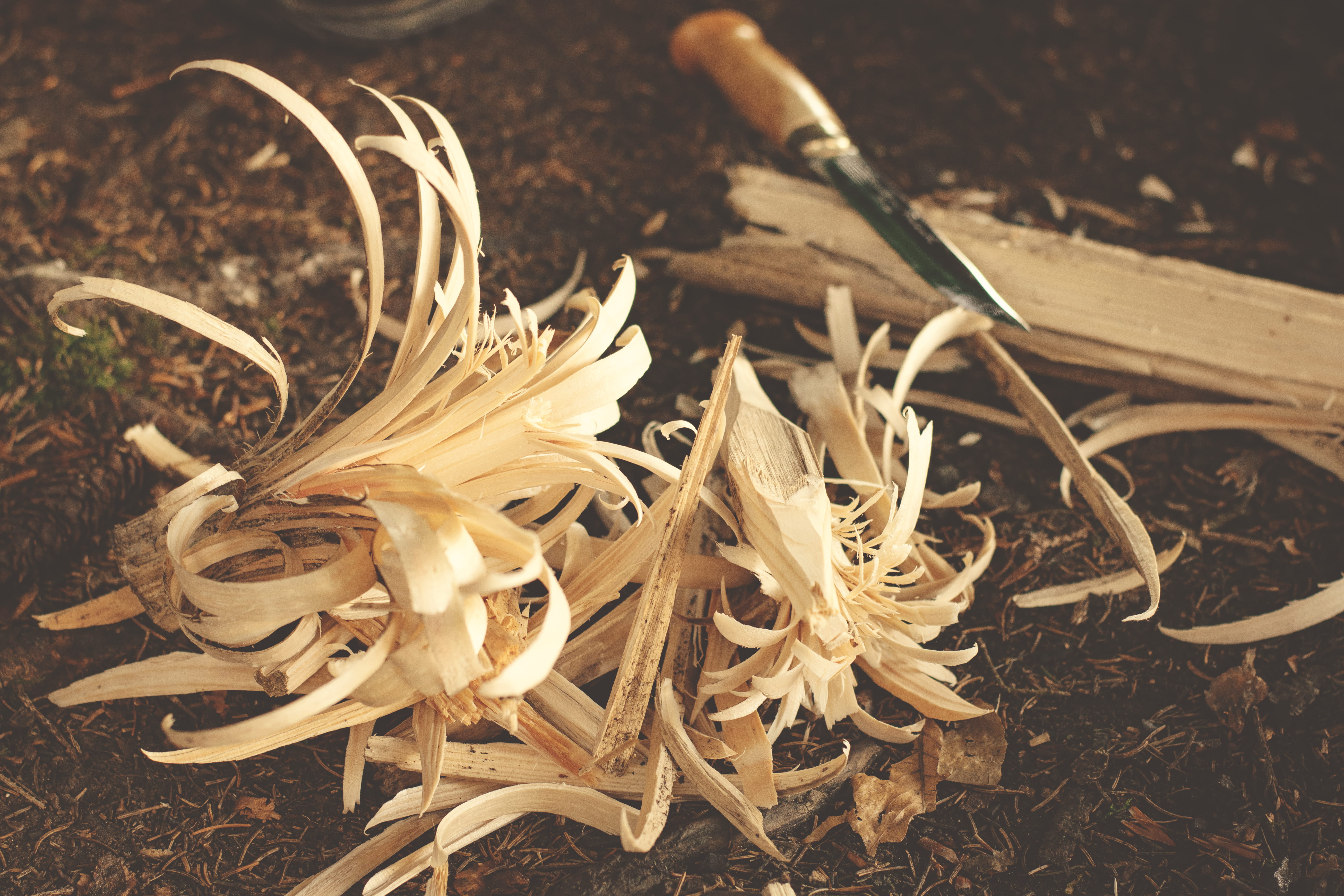 plant, bushcraft, close-up, wooden, flowering plant, food and drink, vulnerability, chips, beauty in nature, outdoors, land, no people, food, high angle view, HD Wallpaper