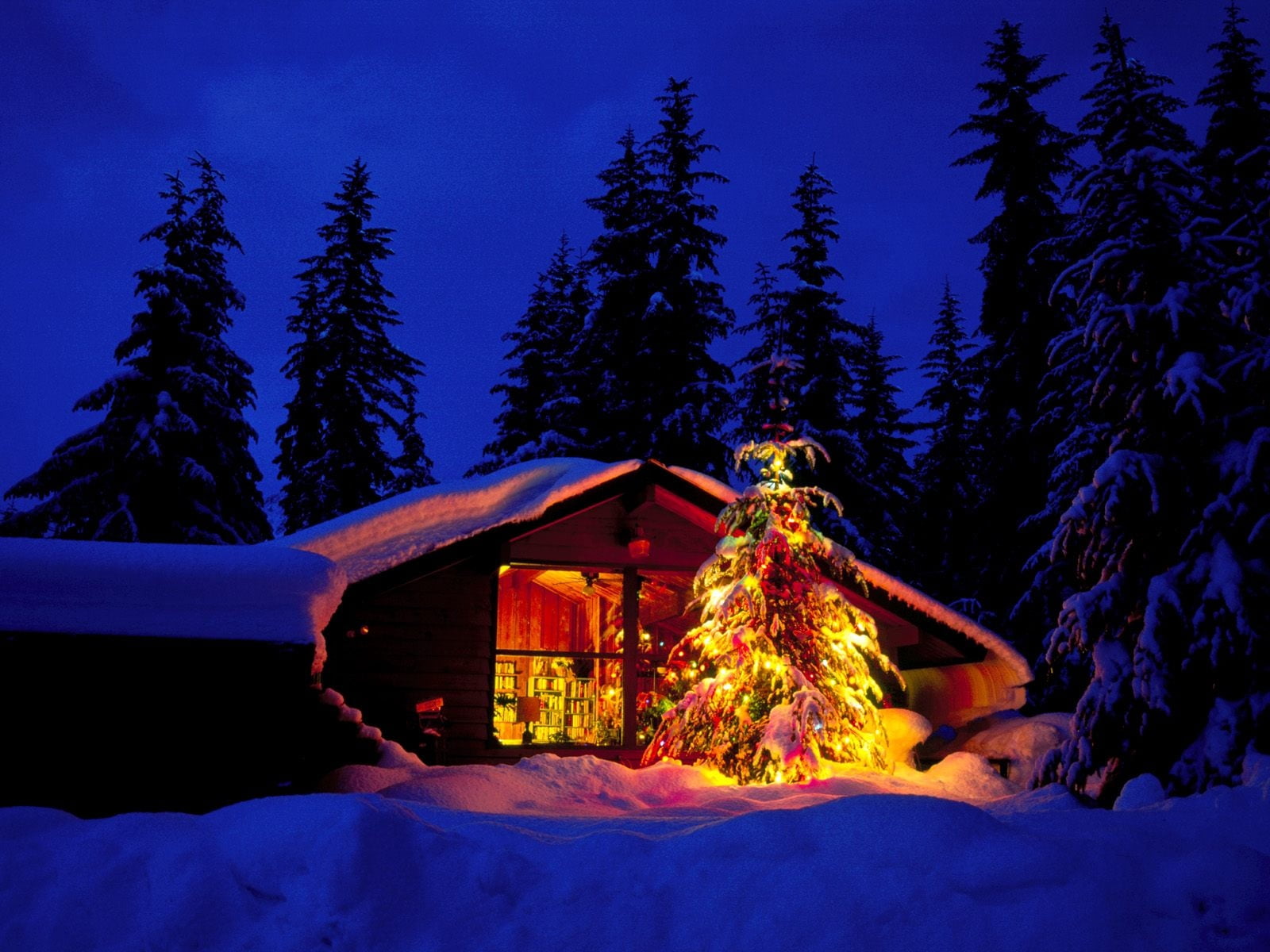 pine tree, dark, illuminated, coniferous tree, tree, fur-tree, window, outdoors, decoration, wood - Material, cabin, non-Urban Scene, mountain, dusk, flame, HD Wallpaper