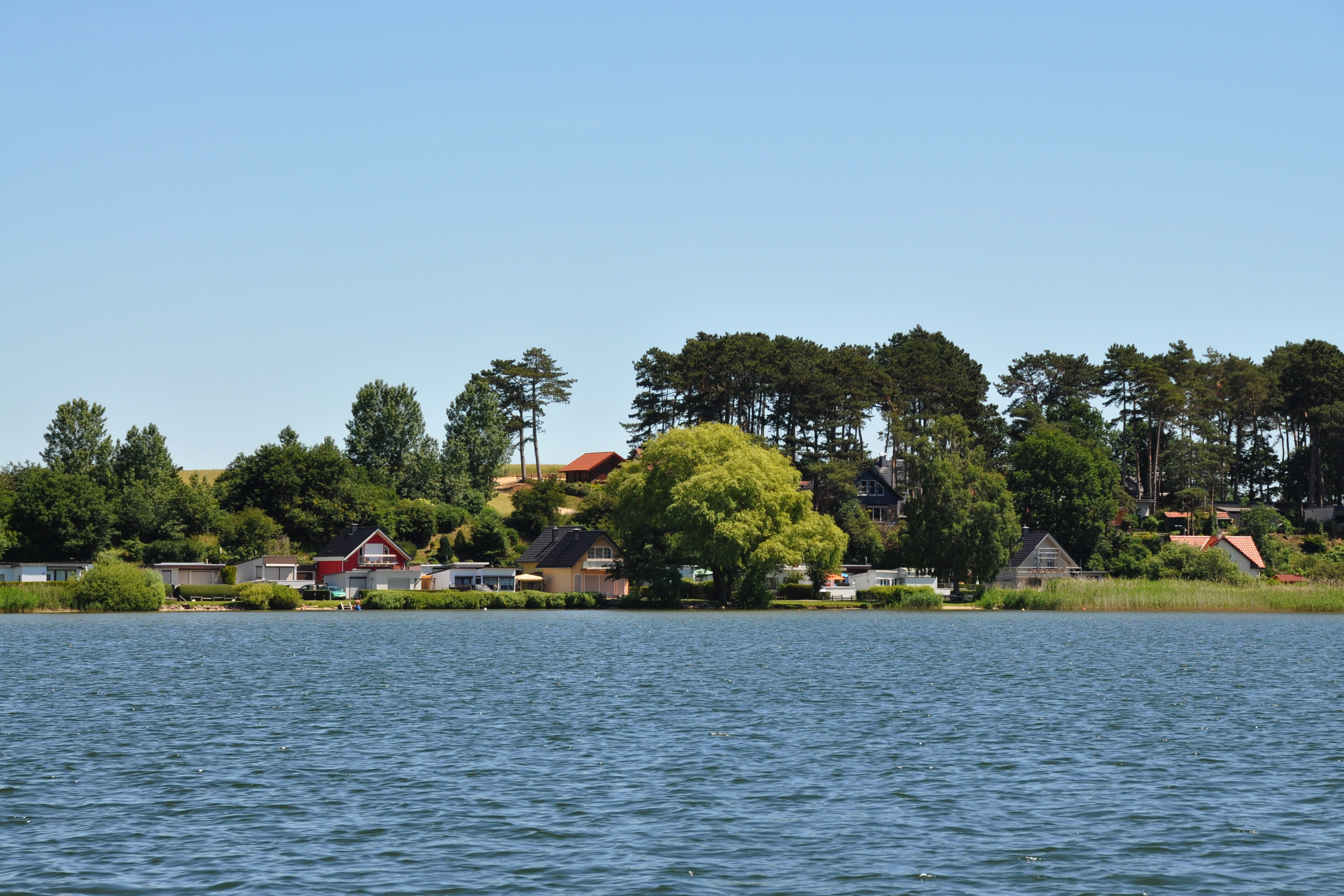 tree, outdoors, water, beauty in nature, waterfront, Camping, camping holidays, no people, day, scenics - nature, holiday, old schwerin, Lakeside, plant, HD Wallpaper