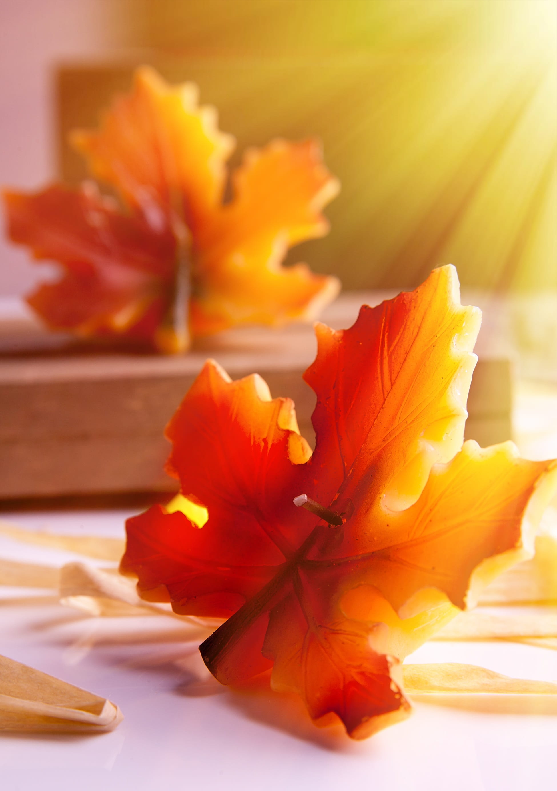 autumn leaf, close-up, windlight, leaves, photography, october, no people, leaf, healthy eating, wick, wellbeing, golden autumn, autumn, red, fall color, Phone HD Wallpaper