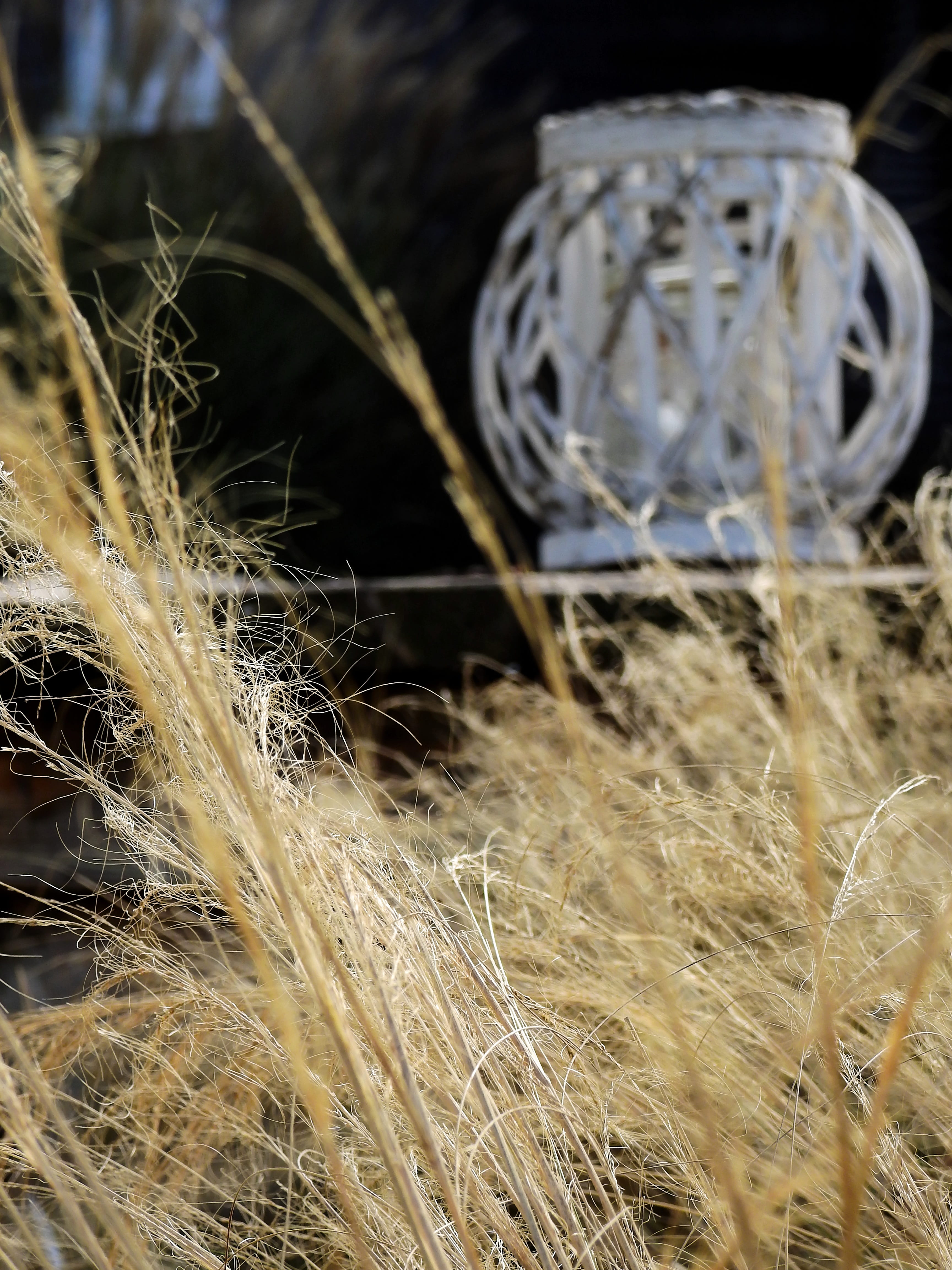 land, Lamp, abandoned, pattern, close-up, field, selective focus, day, grass, gartendeko, 4K, dry, run-down, metal, decoration, focus on foreground, nature, Phone HD Wallpaper