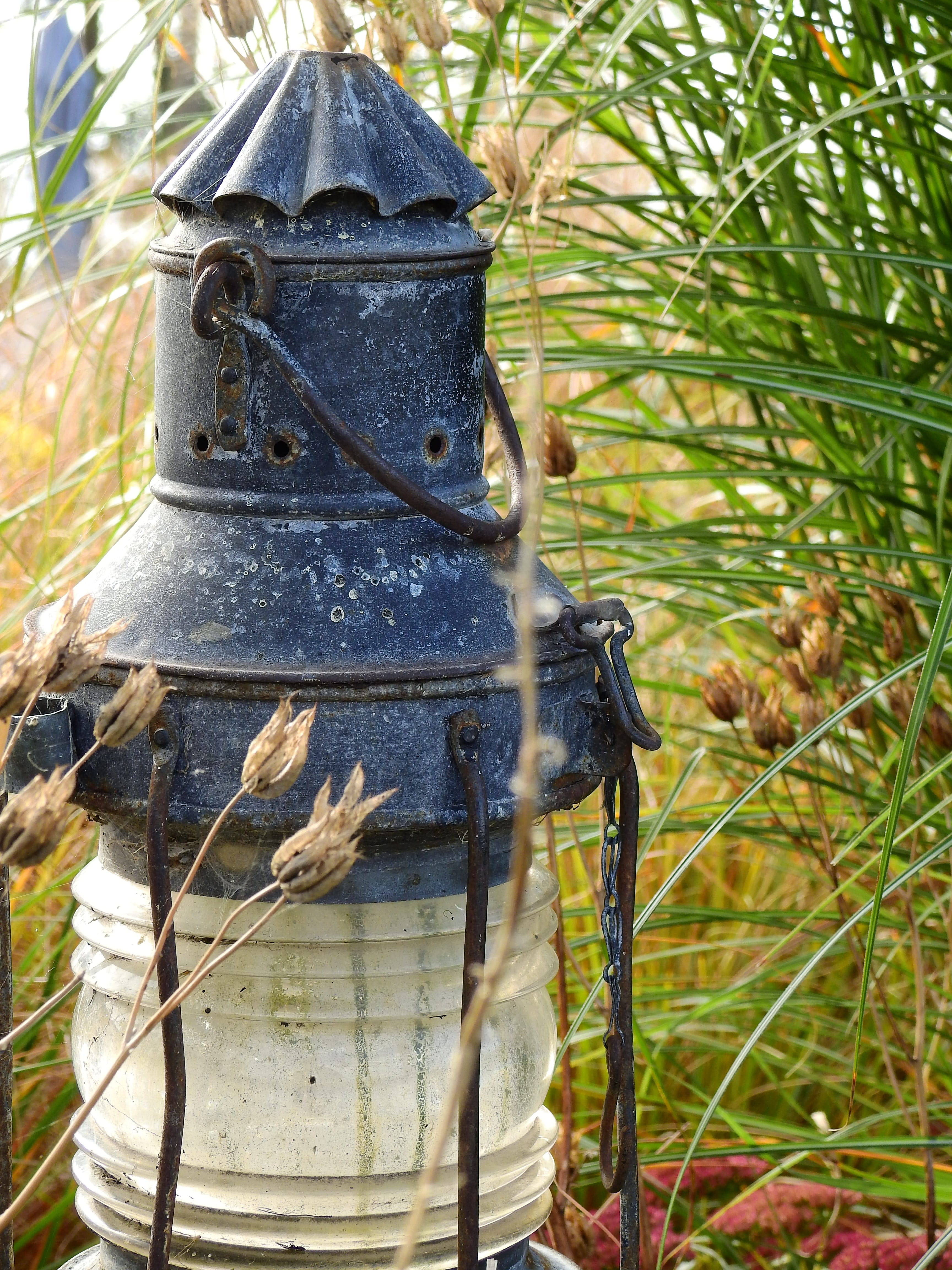 hanging lamp, nature, grass, metal, growth, 4K, representation, field, gartendeko, land, hanging, reed, no people, close-up, oil lamp, Lamp, sunlight, Phone HD Wallpaper