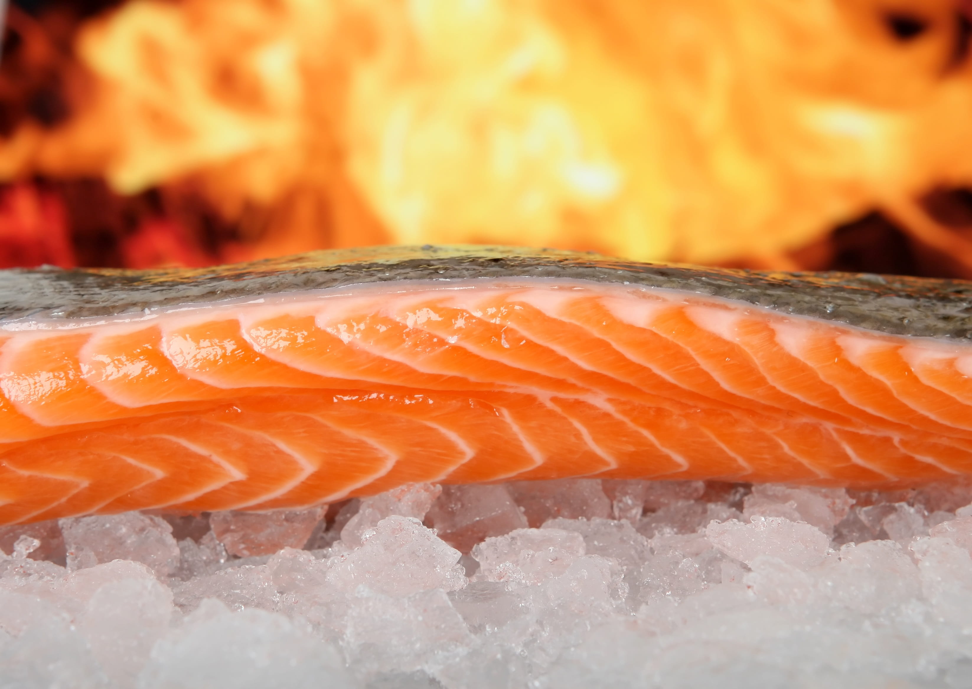 haddock, nature, bass, barbeque, close-up, bbq, cold, 2K, angel, steak, pink, meat, freshness, summer, fresh, fire - natural phenomenon, untitled, healthy, HD Wallpaper