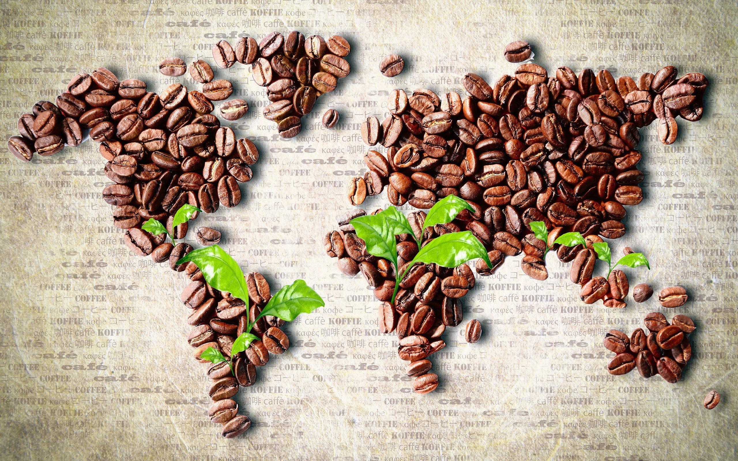 map, 2K, bean, world, coffee, beans, HD Wallpaper