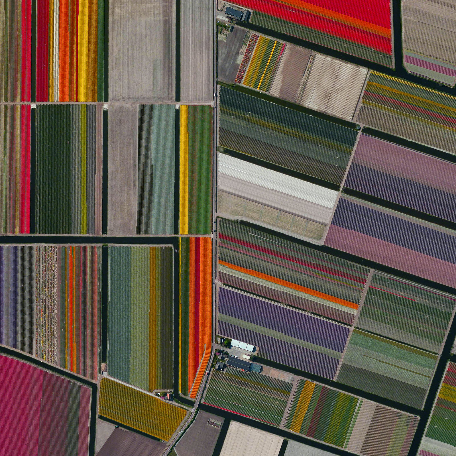 multi colored, large group of objects, photography, day, no people, still life, lines, abundance, landscape, in a row, shelf, road, field, architecture, Phone HD Wallpaper