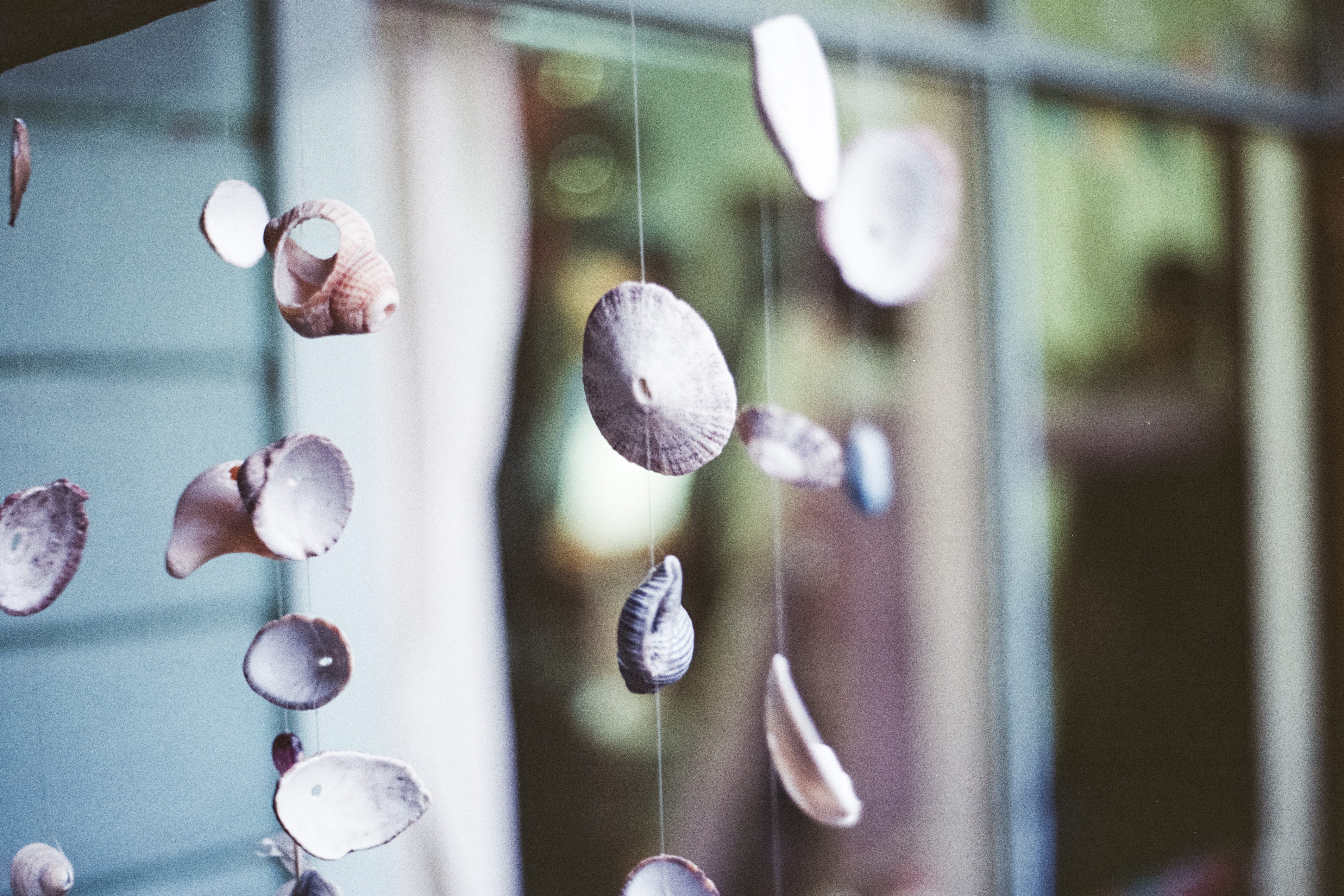 sea shells, hanging, puerto montt, drop, security, plant, travel, architecture, calm, selective focus, analog, built structure, handle, indoors, metal, HD Wallpaper