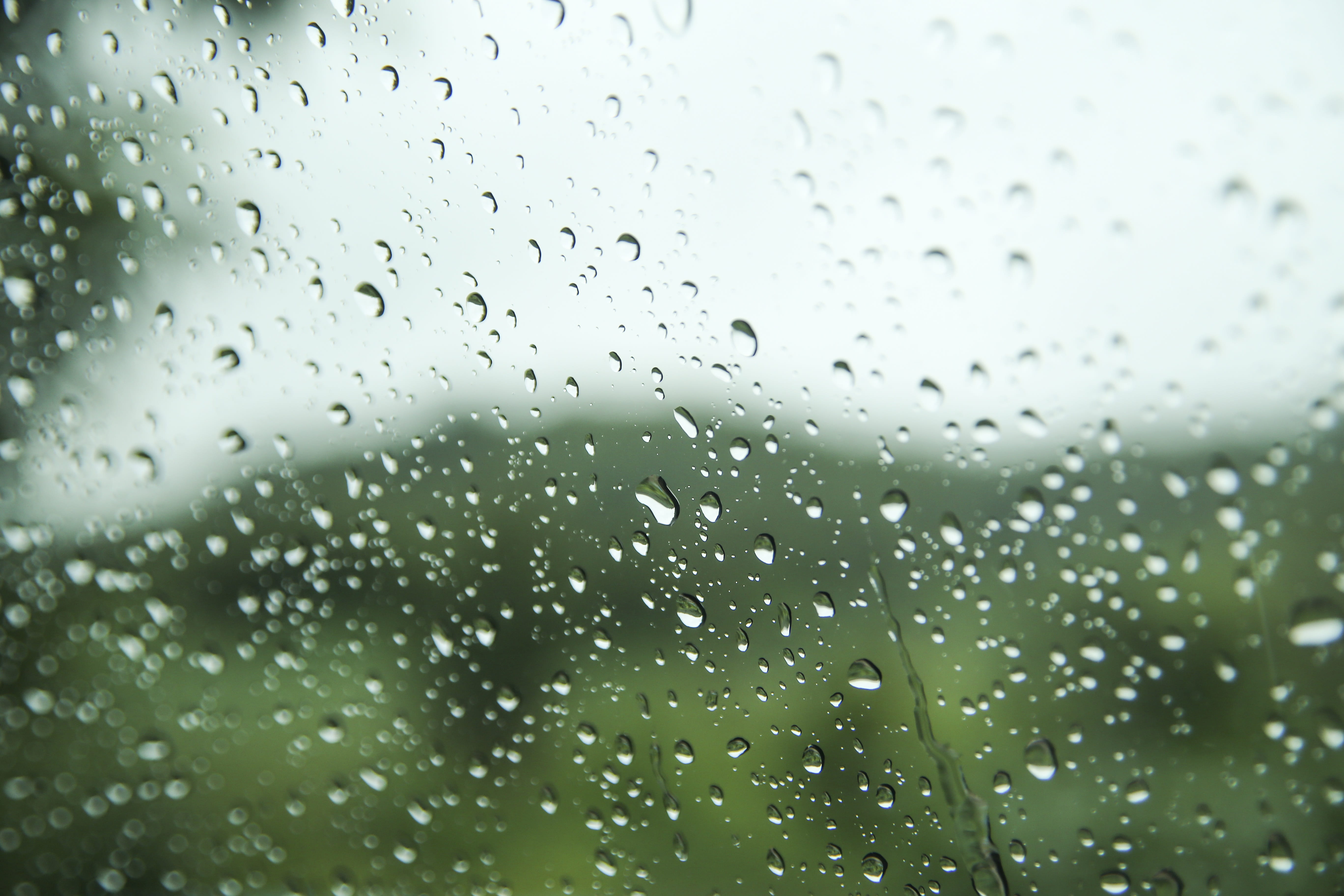 focus on foreground, abstract, Glass, glass - material, indoors, rain cloud, close-up, weather, full frame, Trickle, day, Nature, forest, rain, non, shower, HD Wallpaper