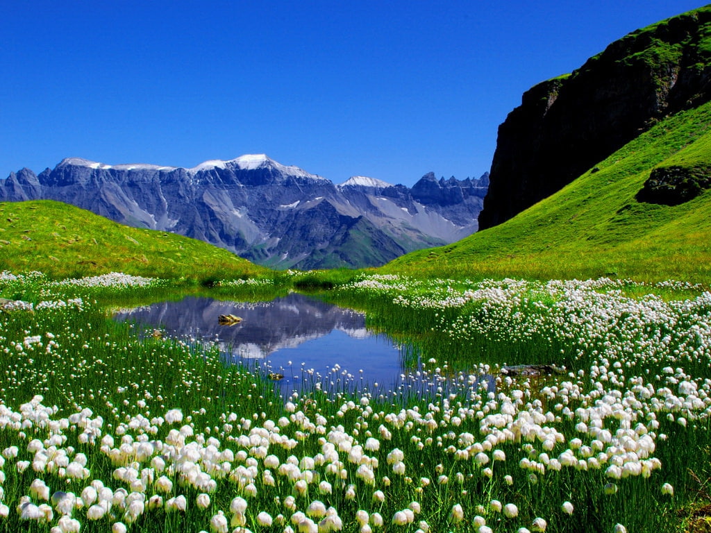 Blue, Clouds, lake, art, grass, nature, spring, Flowers, hd, 480P, lakes, beautiful, HD Wallpaper