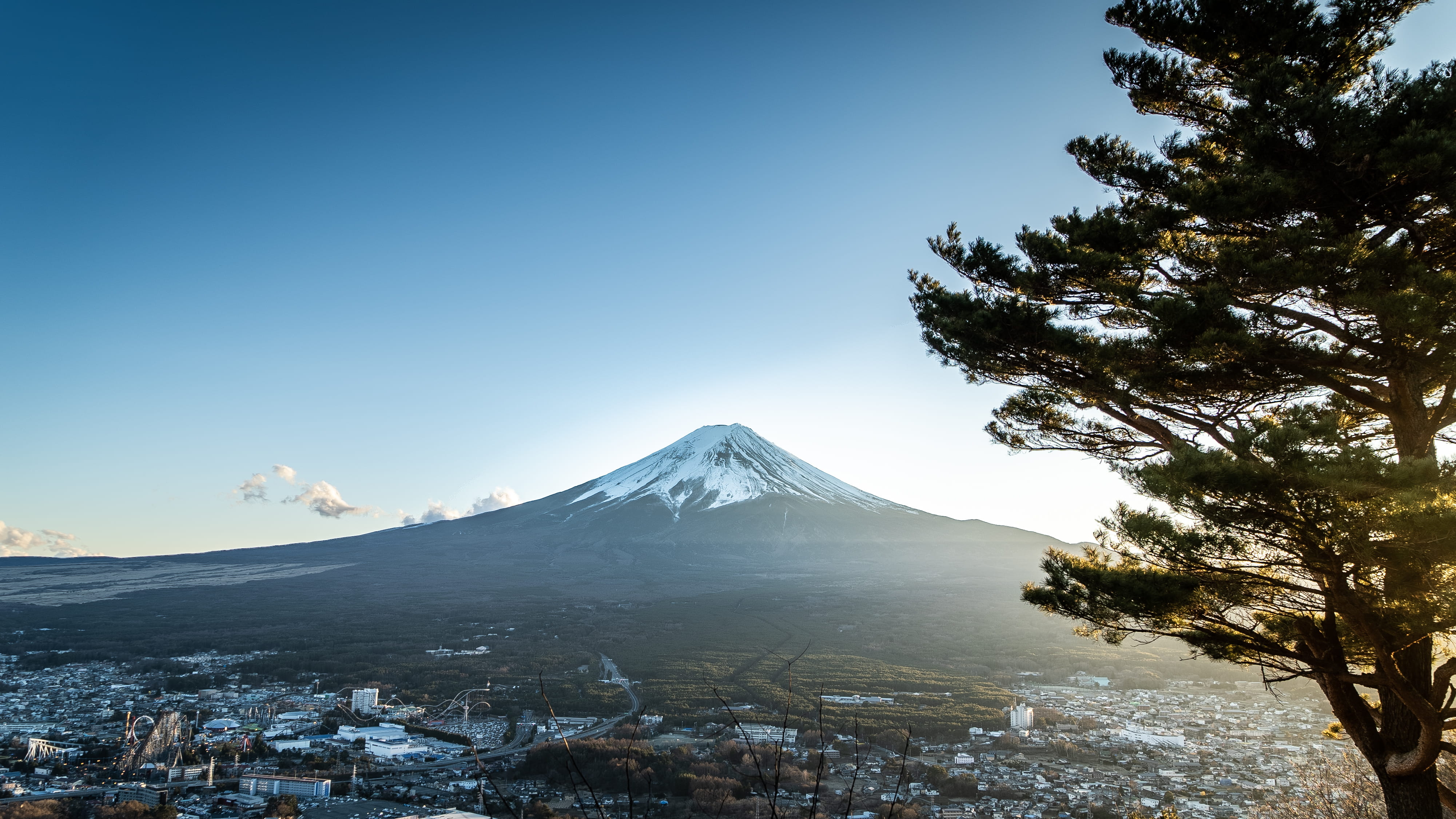 tree, mountain peak, photography, sky, day, fuji, nature, plant, landscape, tranquil scene, snow, clear sky, scenics - nature, snowcapped mountain, no people, HD Wallpaper