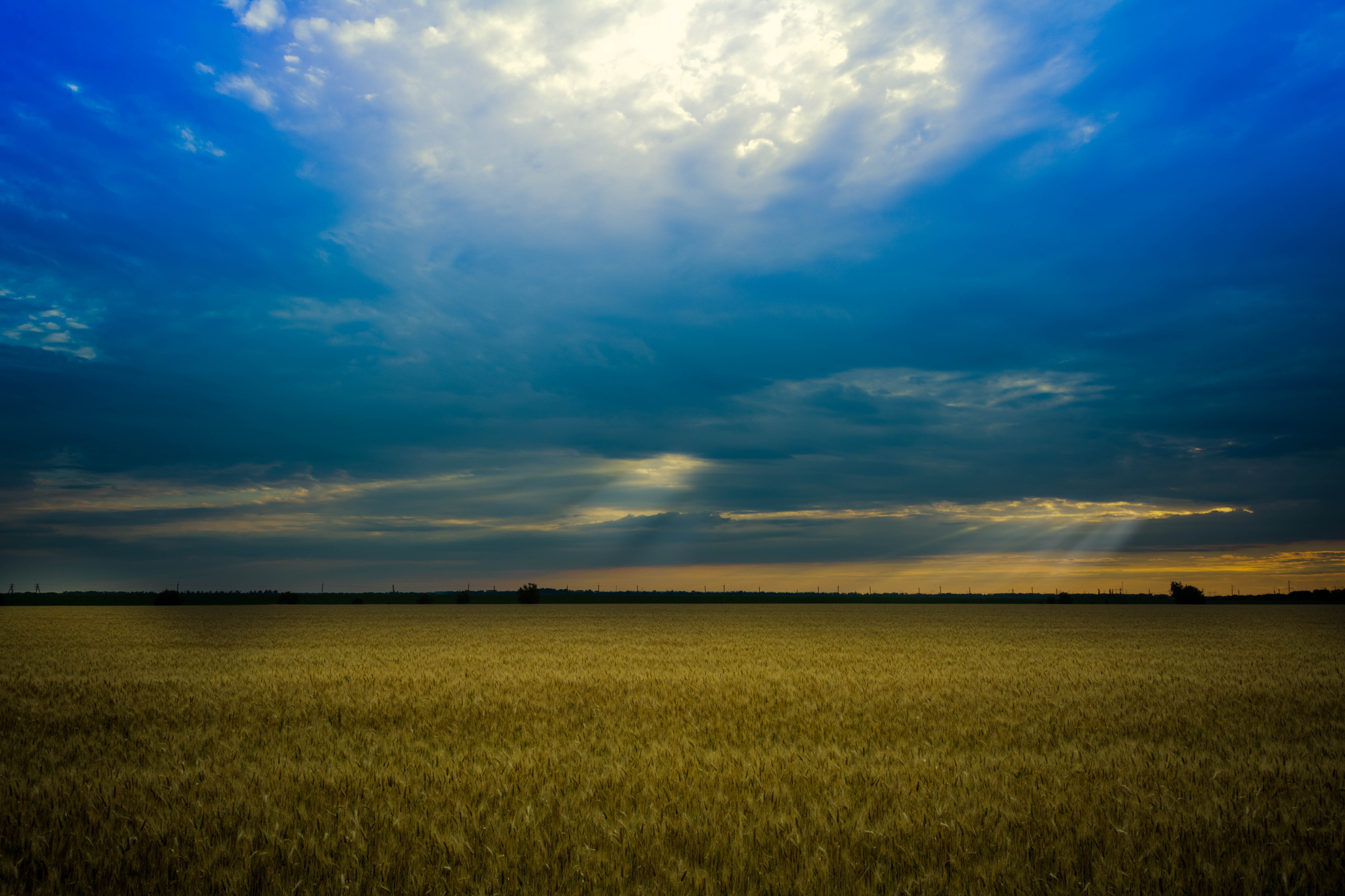 beauty in nature, scenics - nature, landscape, stefan voda, sunset, grau, panoramic, tranquil scene, cereal plant, no people, camp, nature, wheat, photo, HD Wallpaper