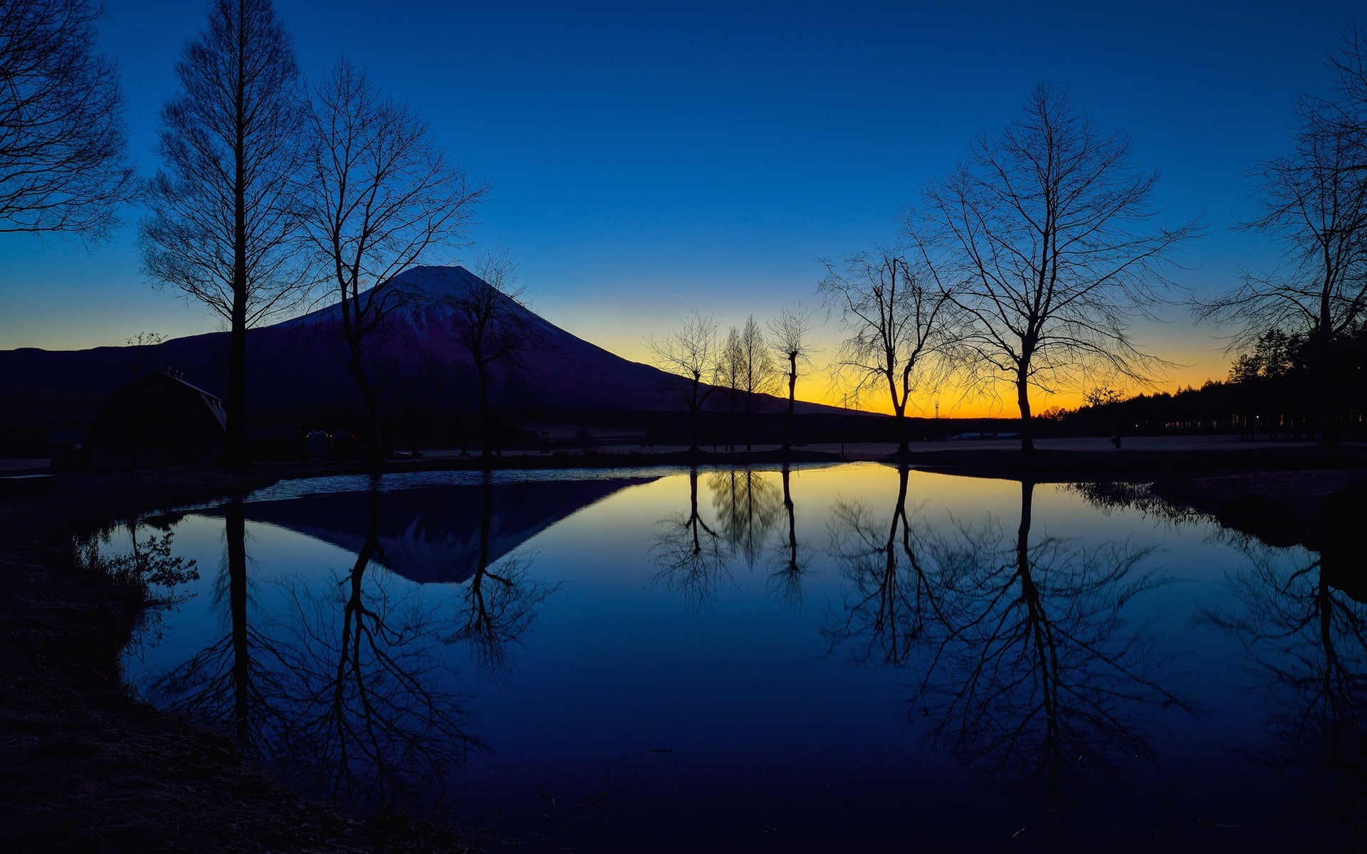 Japan, Lake, Fuji, Trees, Night, mount, 1080P, HD Wallpaper