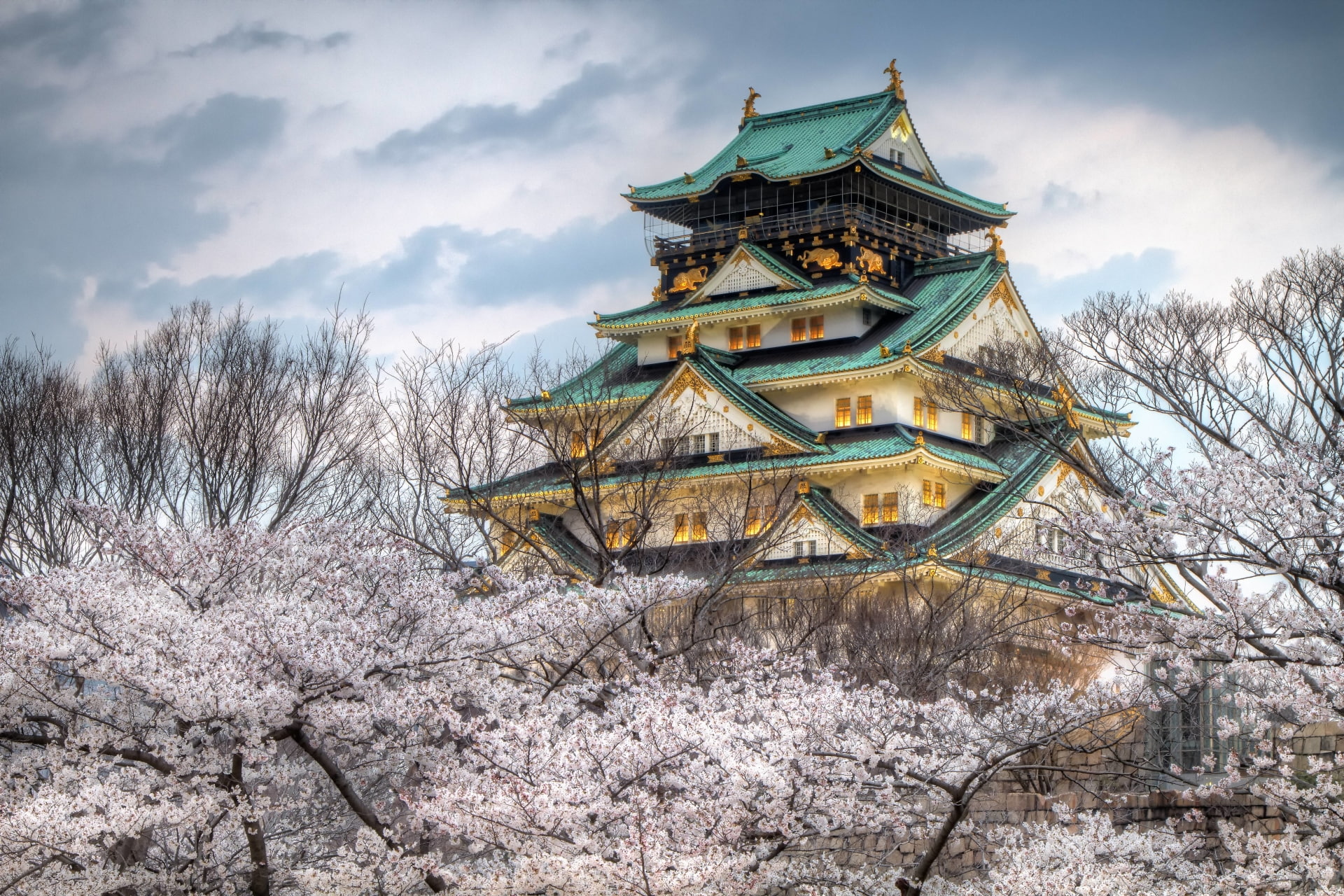 Branch, White Flower, Castles, 1080P, Osaka Castle, HD Wallpaper
