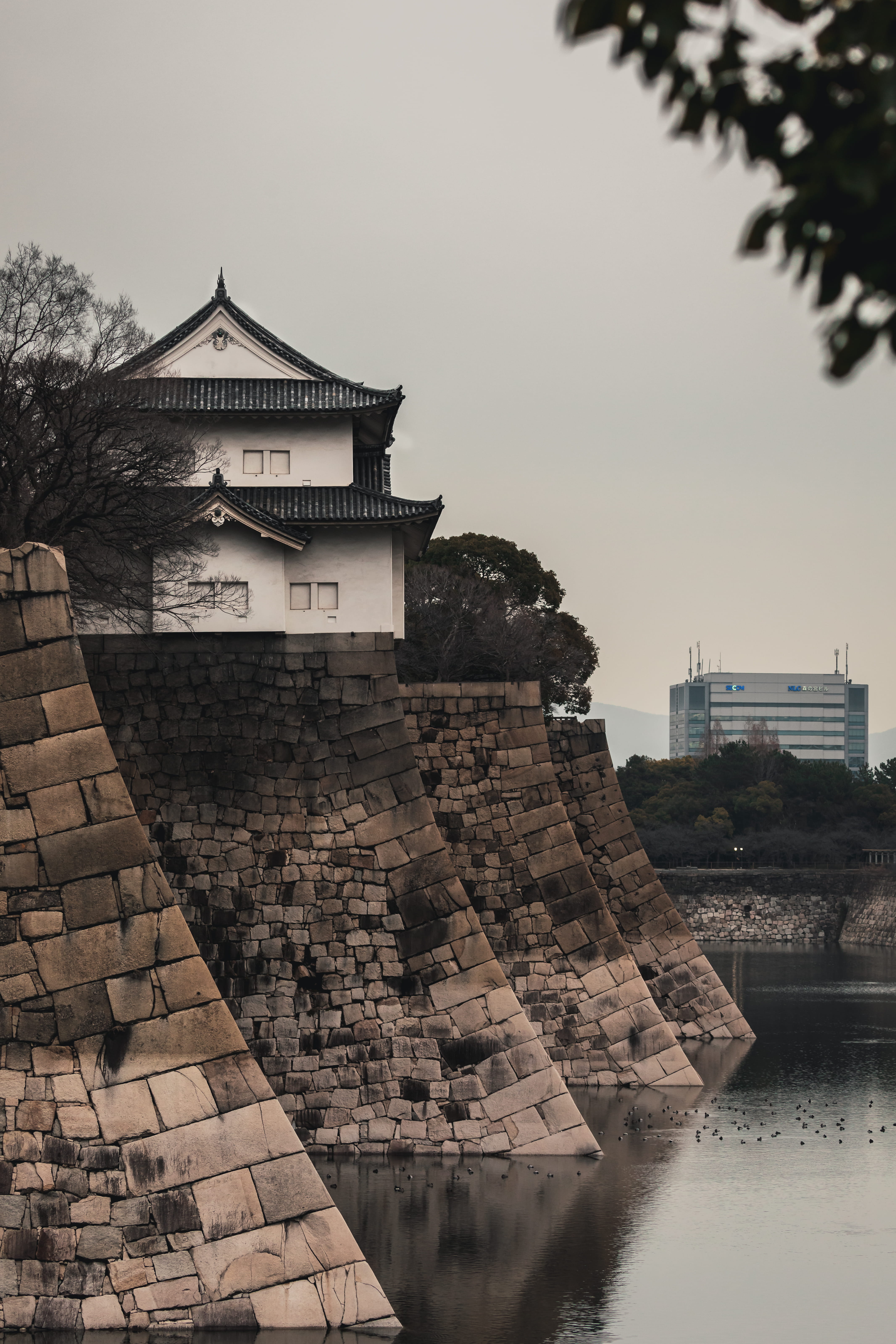 ōsaka-shi, built structure, modern, tourism, building exterior, day, plant, nature, 5K, sky, the past, tree, travel, history, japan, osaka, castle, 3-24 ōsakajō, Phone HD Wallpaper
