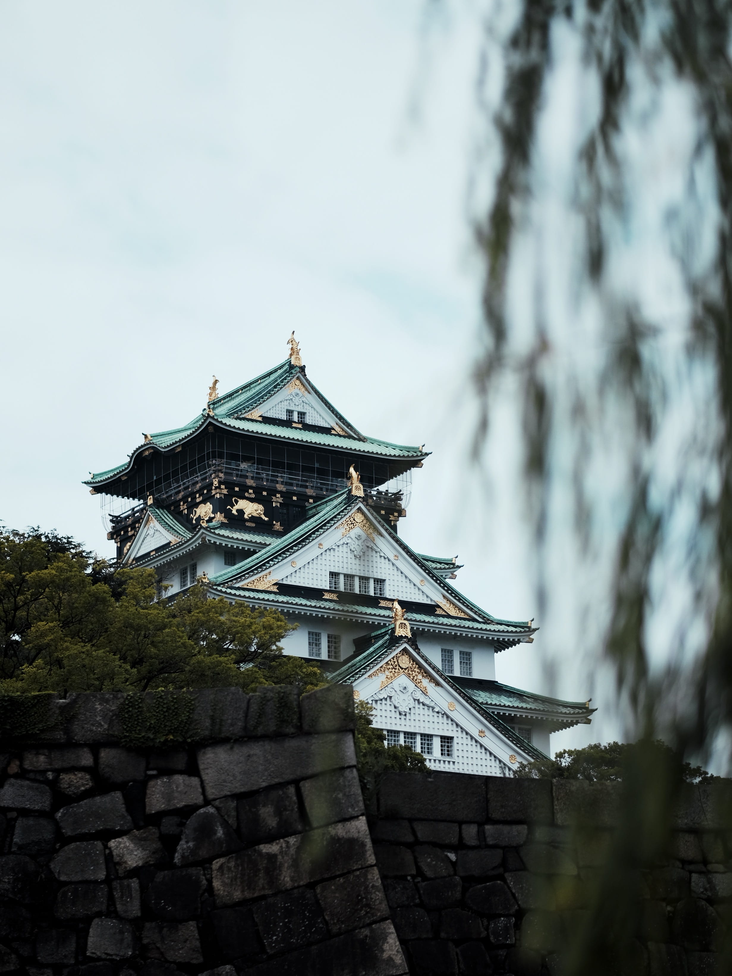 near, place of worship, wooden, no people, view through foliage, wall, blue, nature, white, religion, low angle view, building exterior, spirituality, japan, Phone HD Wallpaper