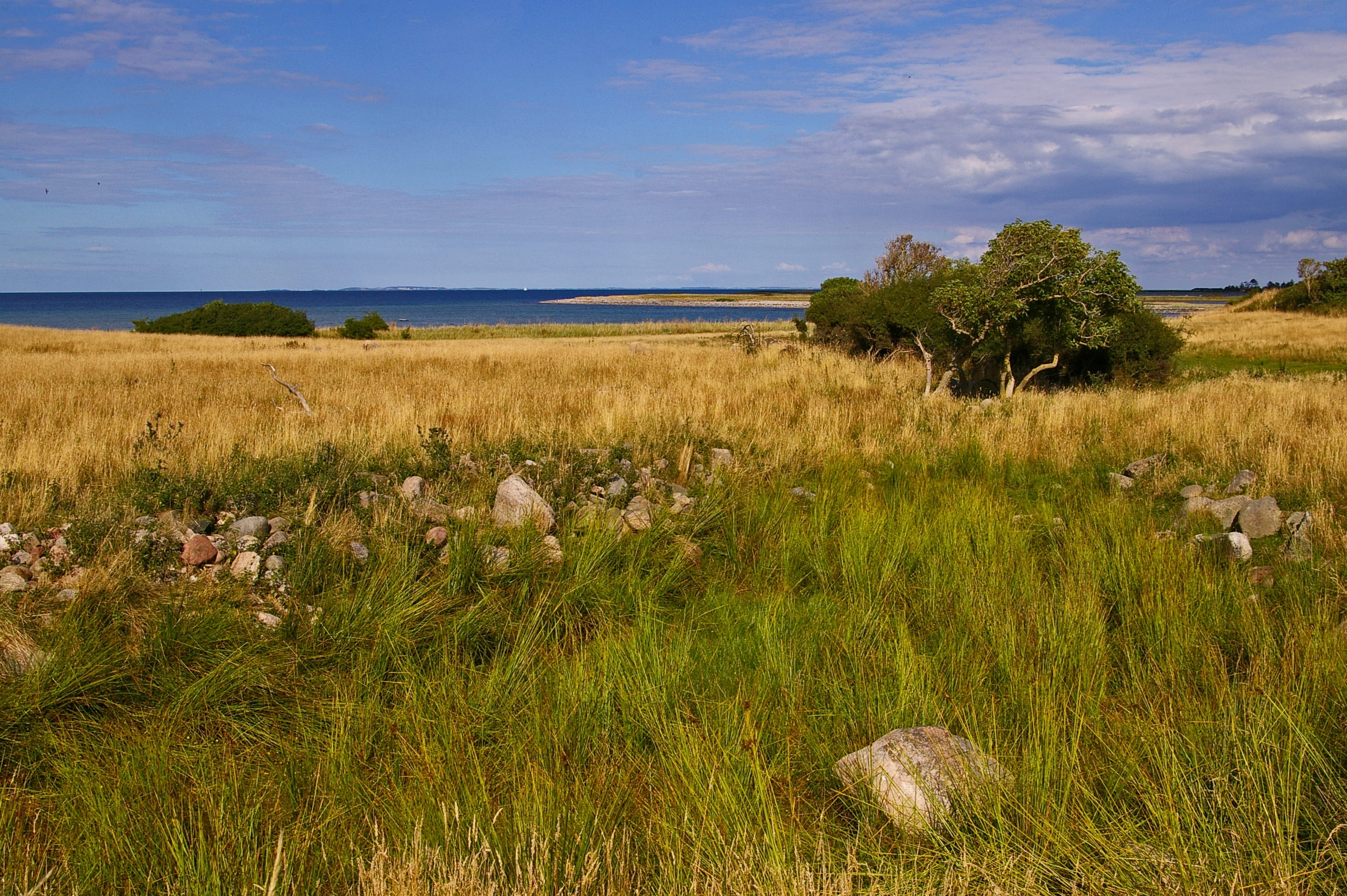 2K, reported, field, sun, rest, environment, danish baltic, landscape, gate, tranquility, north sea, holiday, growth, fyns hoved, maritime, island, no people, HD Wallpaper
