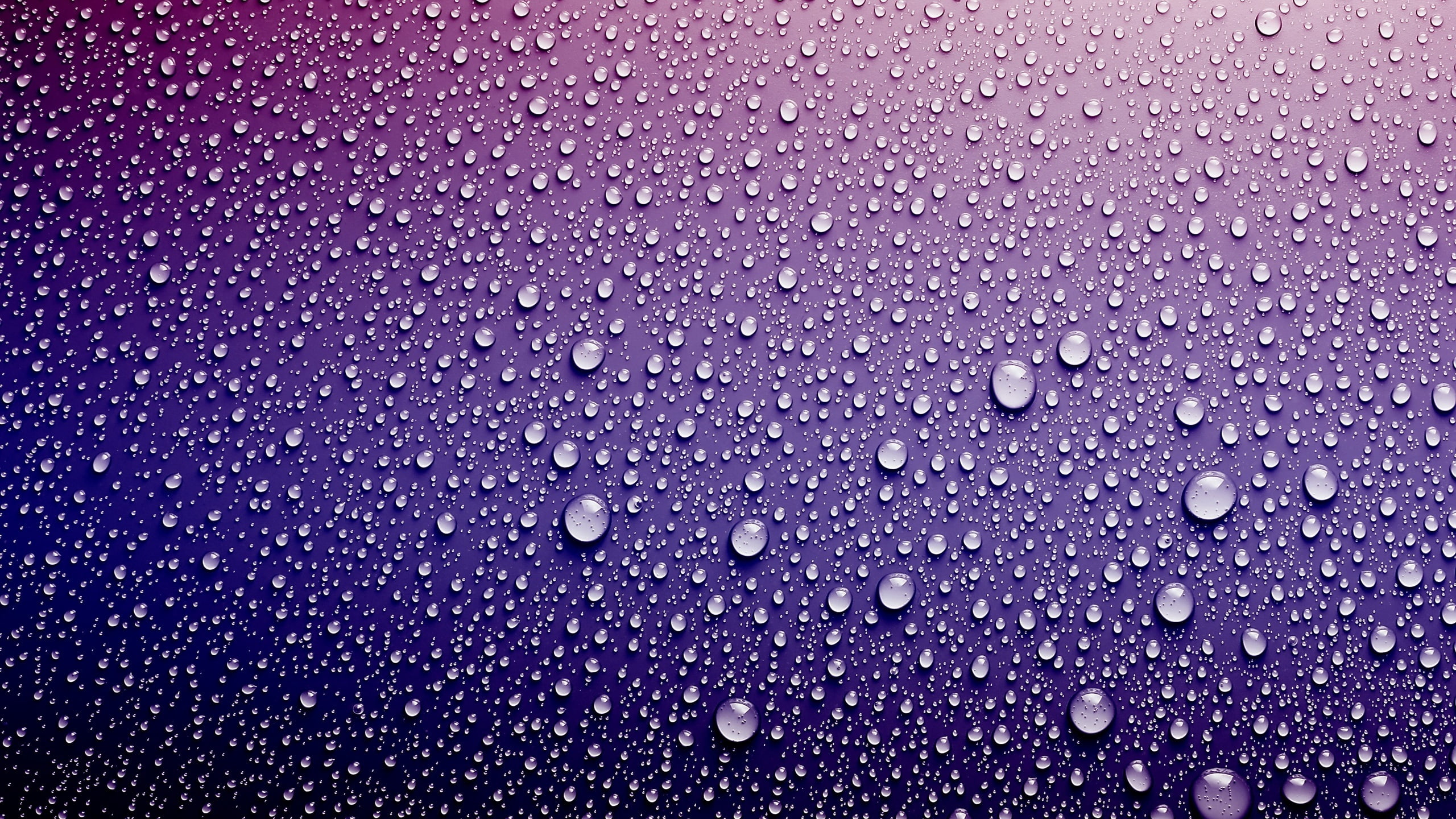 texture, drops, surface, background, 2K, lilac, HD Wallpaper