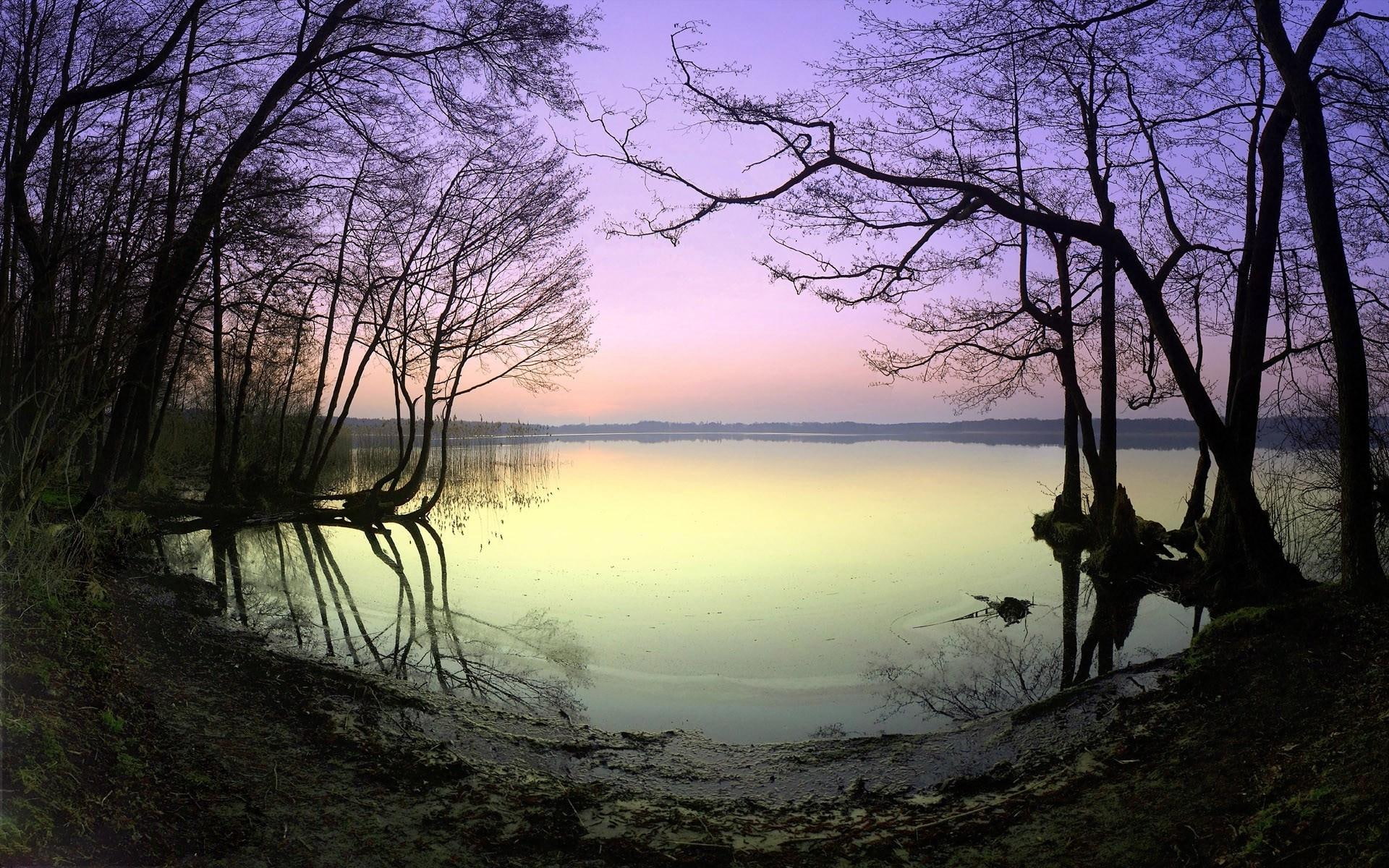 trees, nature and landscapes, pastel, 1080P, colors, lake, shore, HD Wallpaper