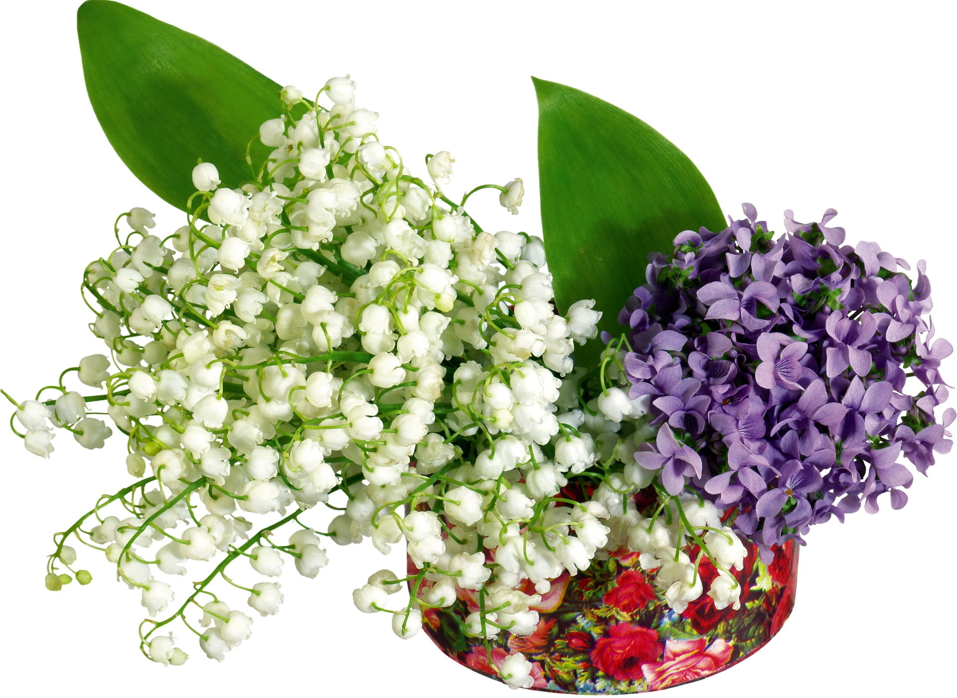 plant part, leaf, lily, lilys of the valley, backgrounds, flowers, lilac, gift, white, green Color, white background, blossom, vulnerability, summer, decoration, HD Wallpaper
