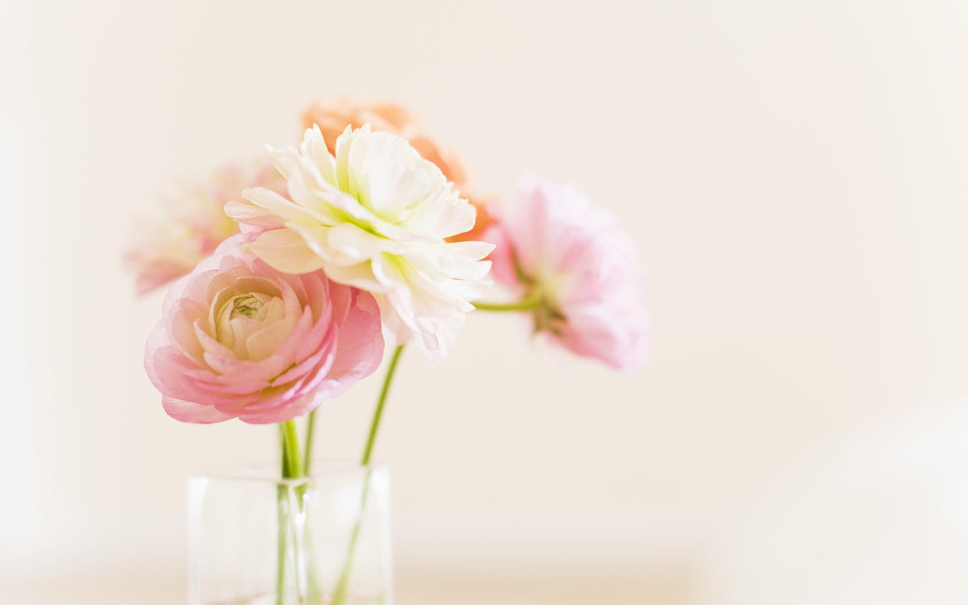 vase, soft, 3d and abstract, pretty, spring, flowers, 1080P, HD Wallpaper