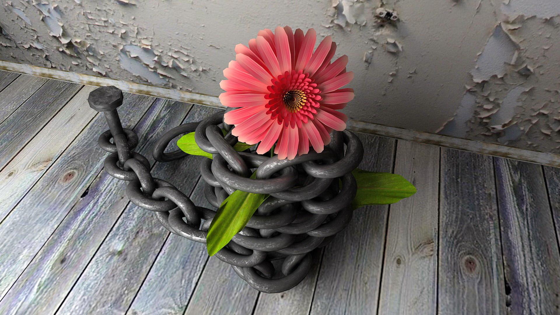 1080P, pretty, beautiful, flowers, wall, beauty, gerbera, nice, lovely, street, chains, 3d and abstract, HD Wallpaper