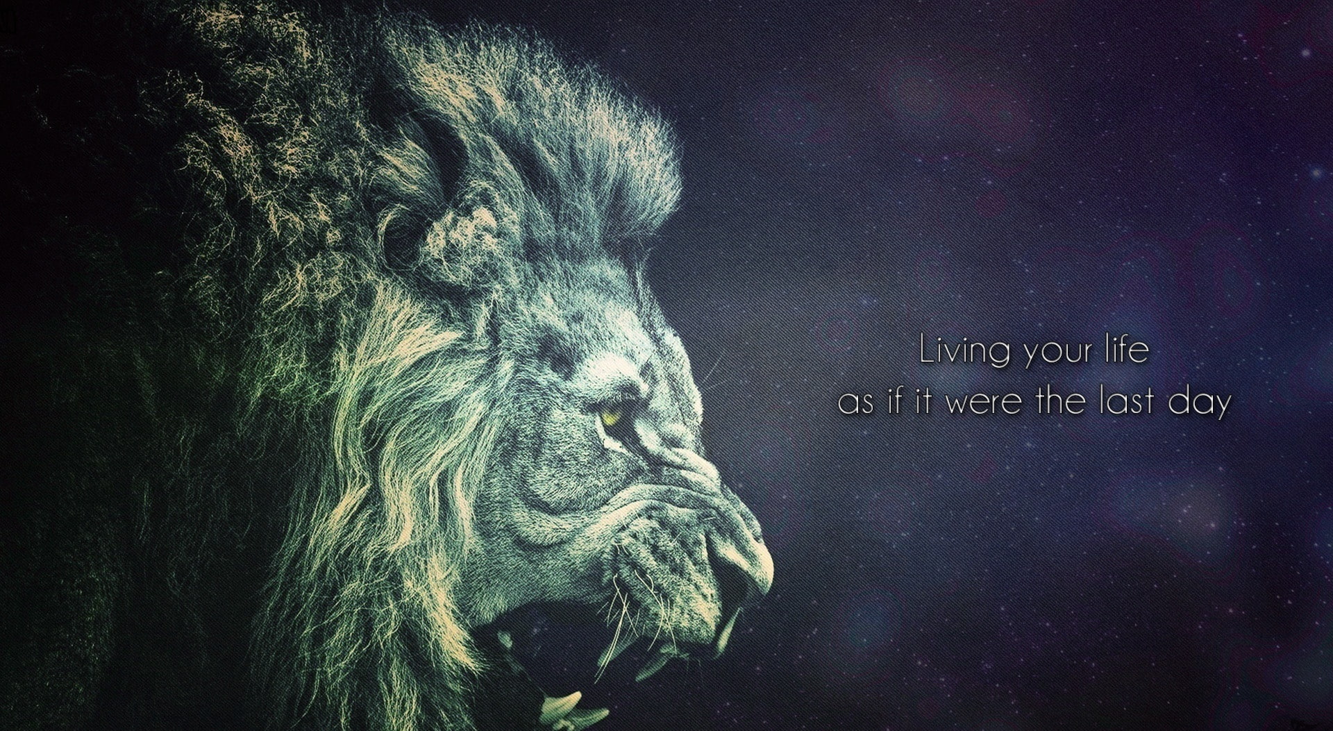 human representation, mammal, auto post production filter, life, indoors, sculpture, text, Typography, living, redekdesign, space, no people, close-up, HD Wallpaper