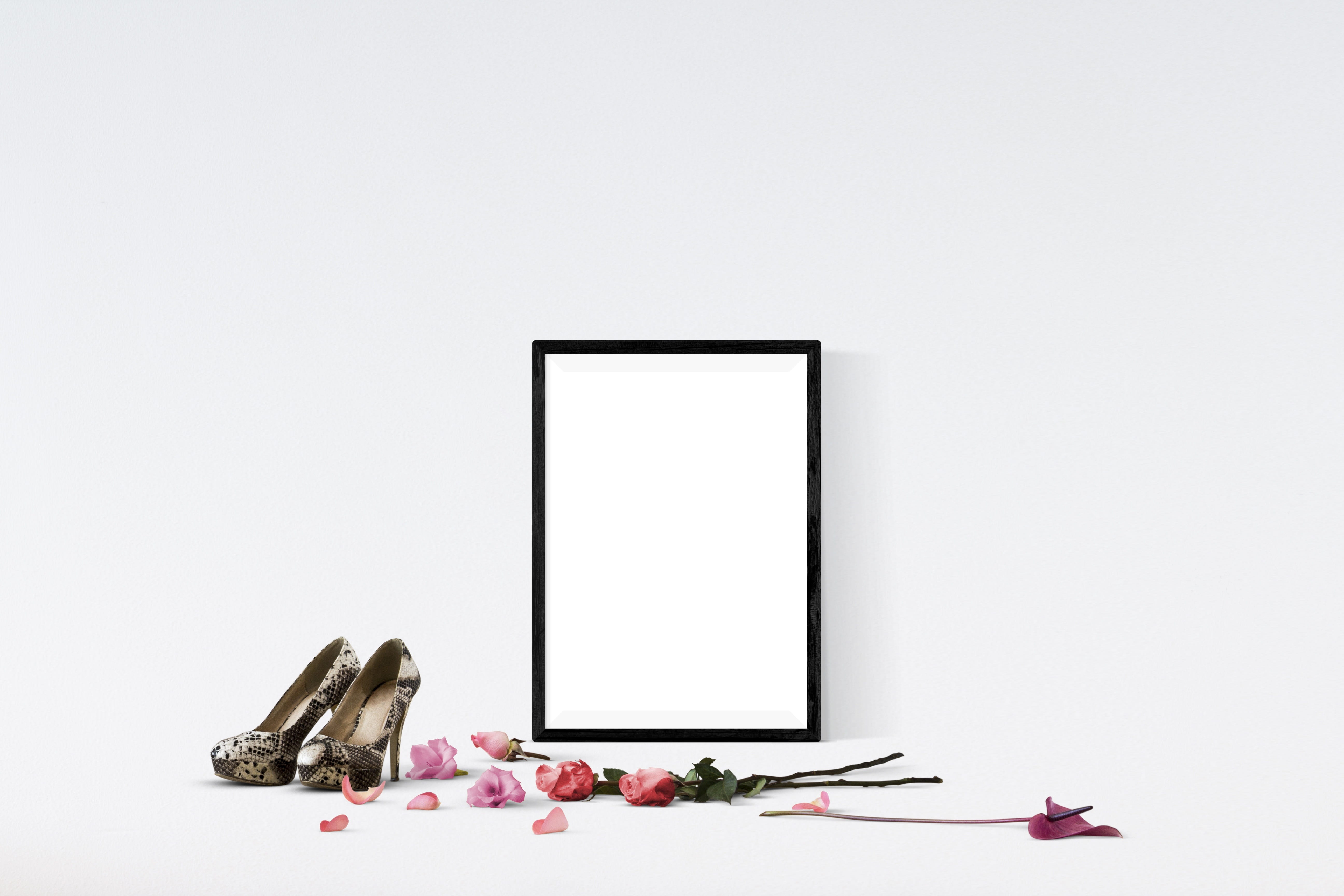 nature, white background, flower, artwork, 5K, mockup, frame, rose, studio shot, copy space, indoors, beauty in nature, variation, presentation, no people, HD Wallpaper