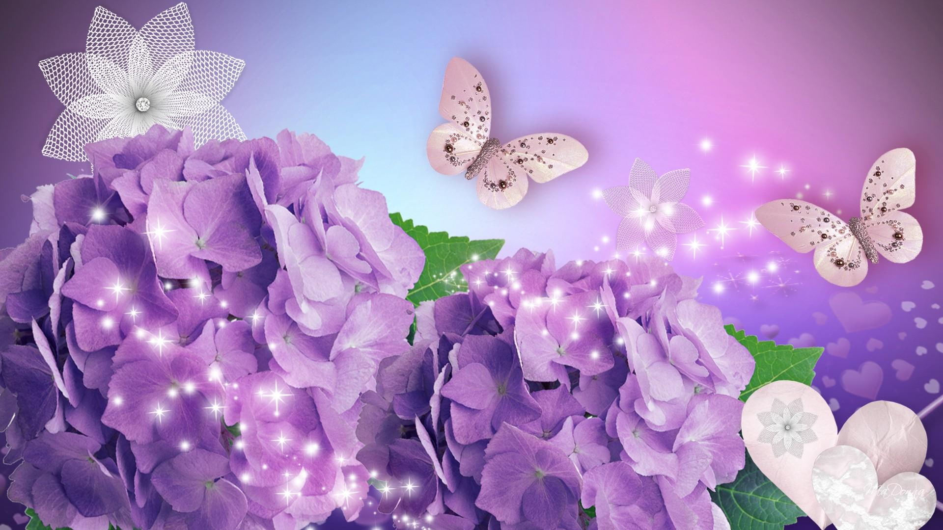1080P, sparkles, stars, hydrangea, season, hearts, puple, pink, orchid, nature and, spring, lavender, summer, flowers, HD Wallpaper
