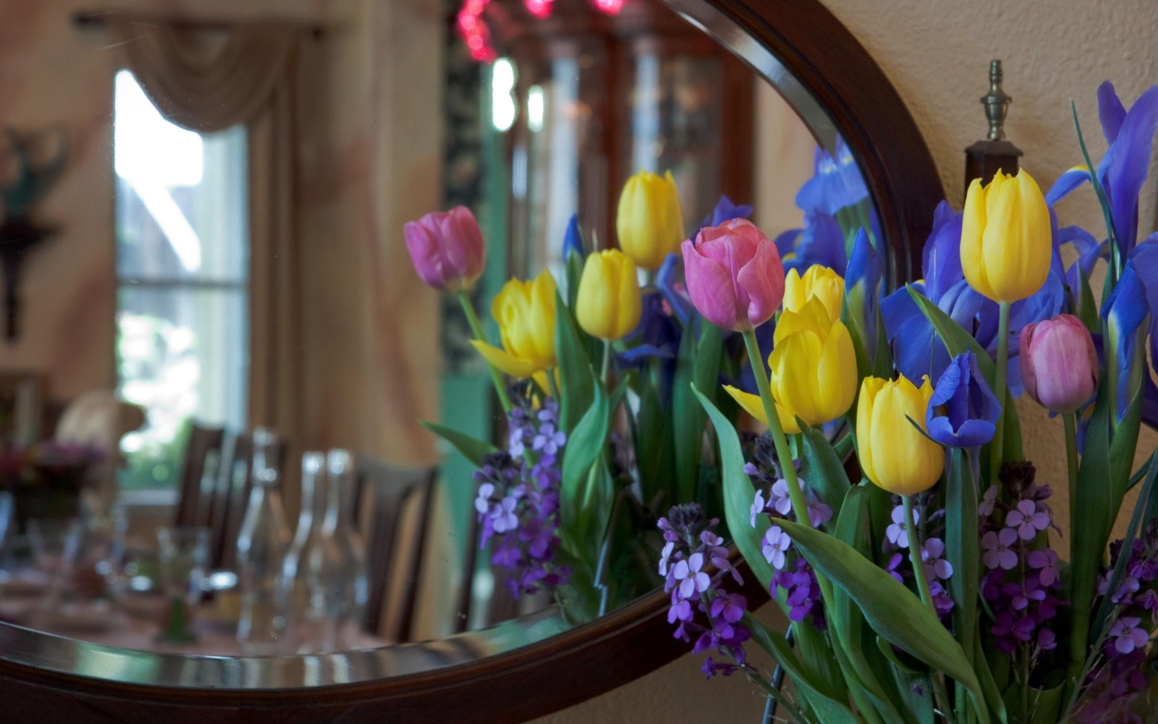 focus on foreground, romance, hydrangea, irises, close-up, flower, restaurant, fragility, yellow, flower head, tulips, dining, elegance, freshness, decoration, HD Wallpaper