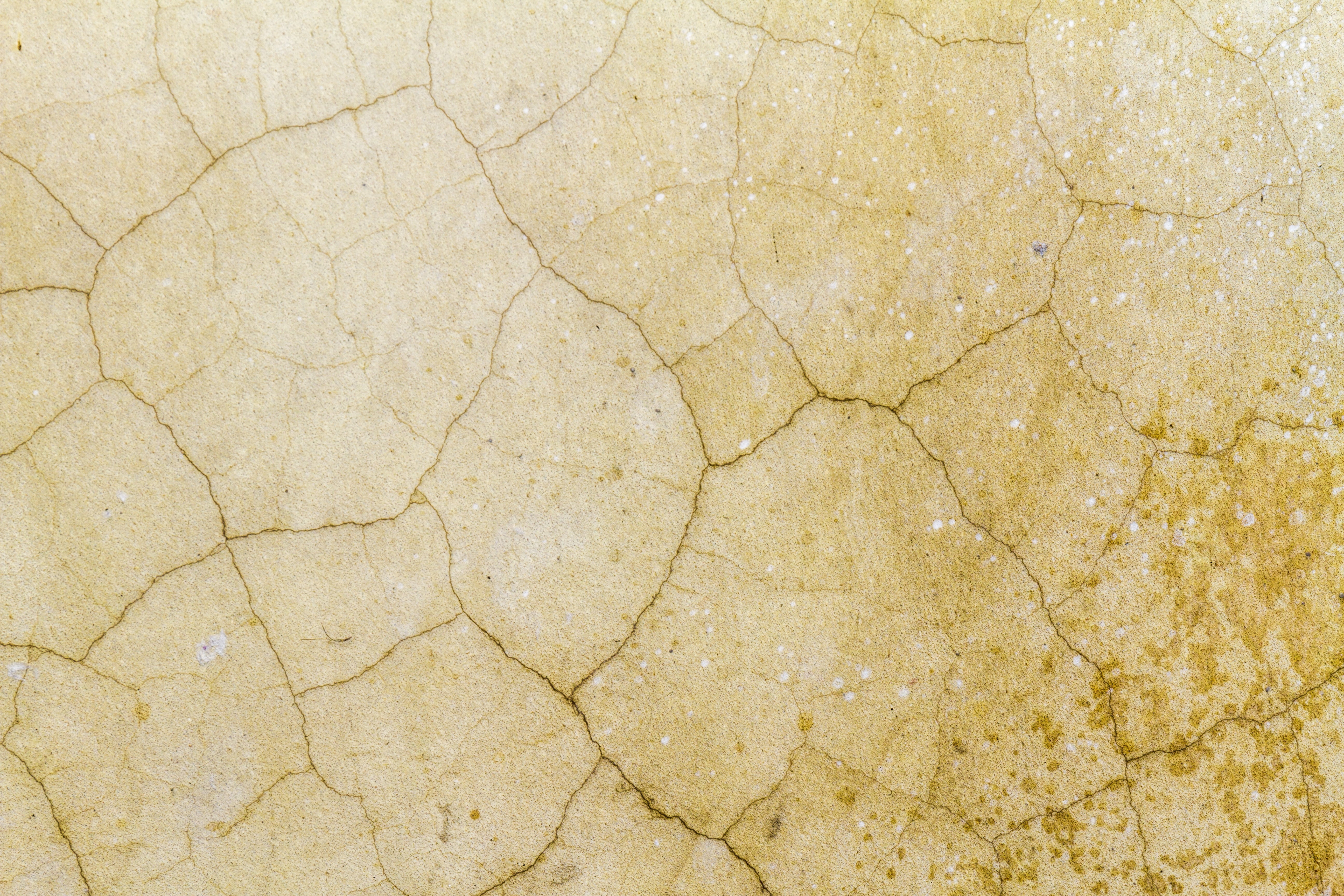 grunge, stone material, solid, natural pattern, damaged, no people, grungy, aged, 5K, arid climate, abstract backgrounds, climate, texture, close-up, high angle view, HD Wallpaper