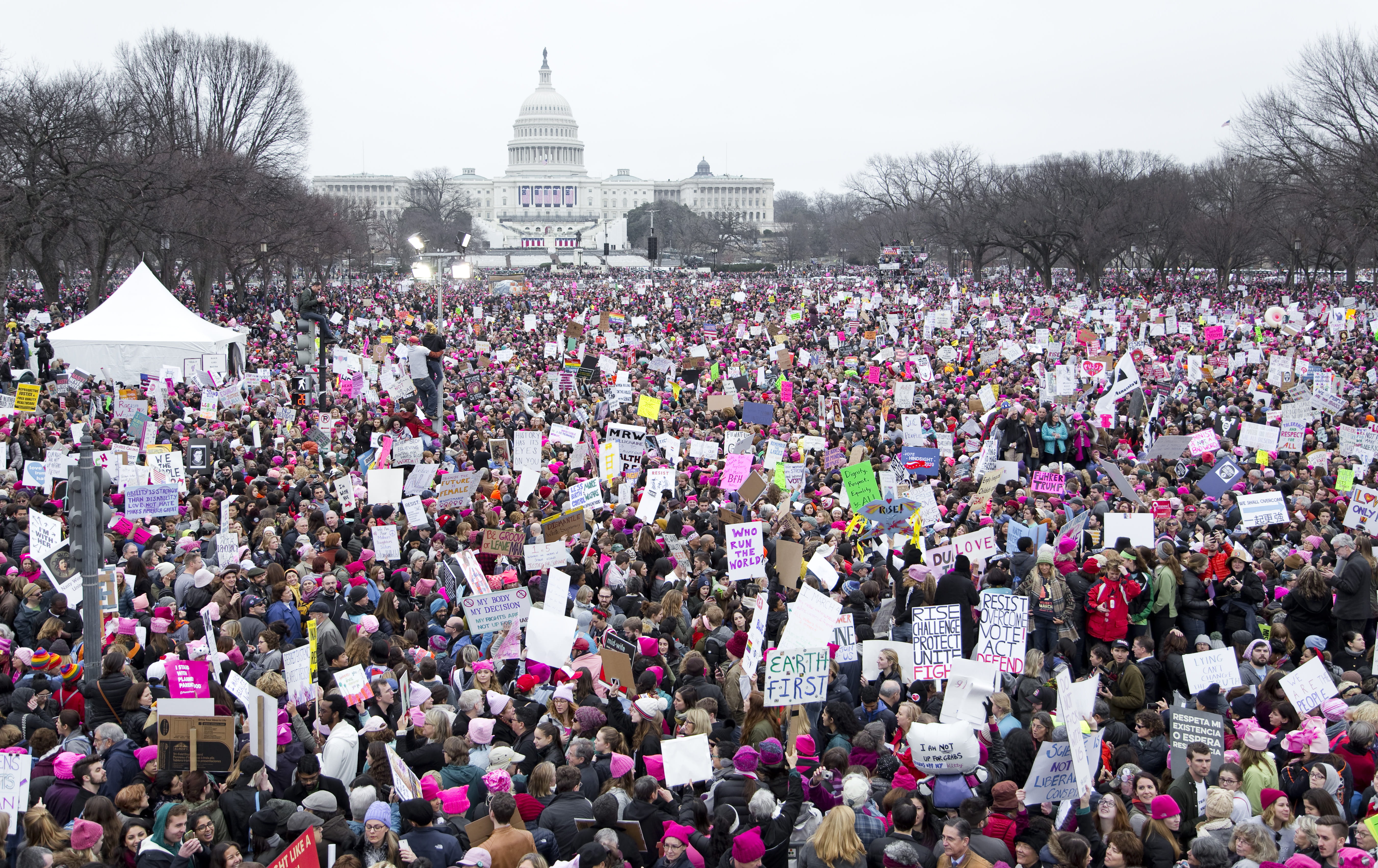 trump, outdoors, united, america, usa, capitol, men, plant, adult, city, protest, washington, first, women, day, spirituality, architecture, strong, northwest washington, HD Wallpaper