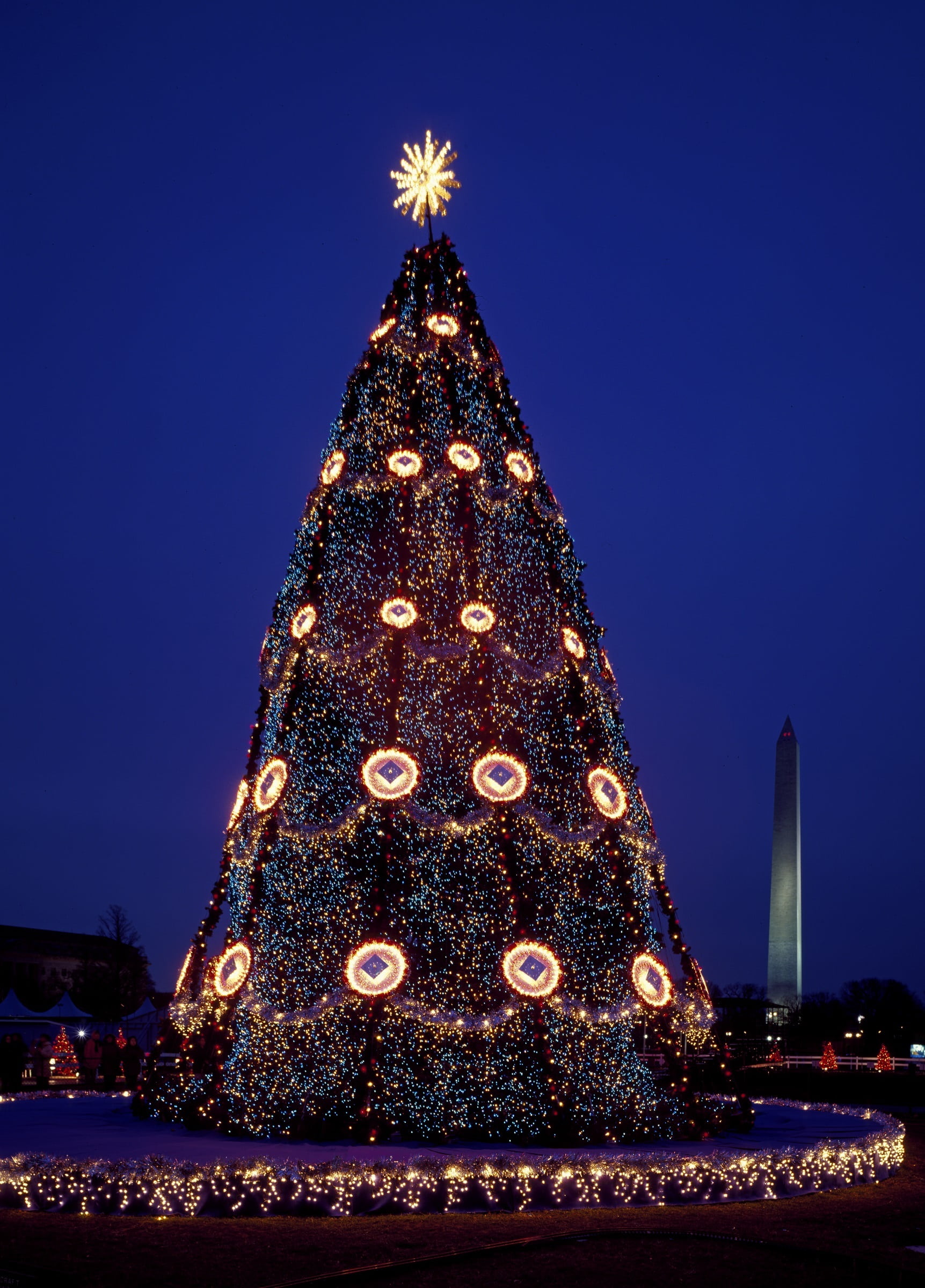 star, merry, national christmas tree, outdoors, clear sky, night, bright, national mall, christmas lights, christmas, built structure, christmas ornament, Phone HD Wallpaper