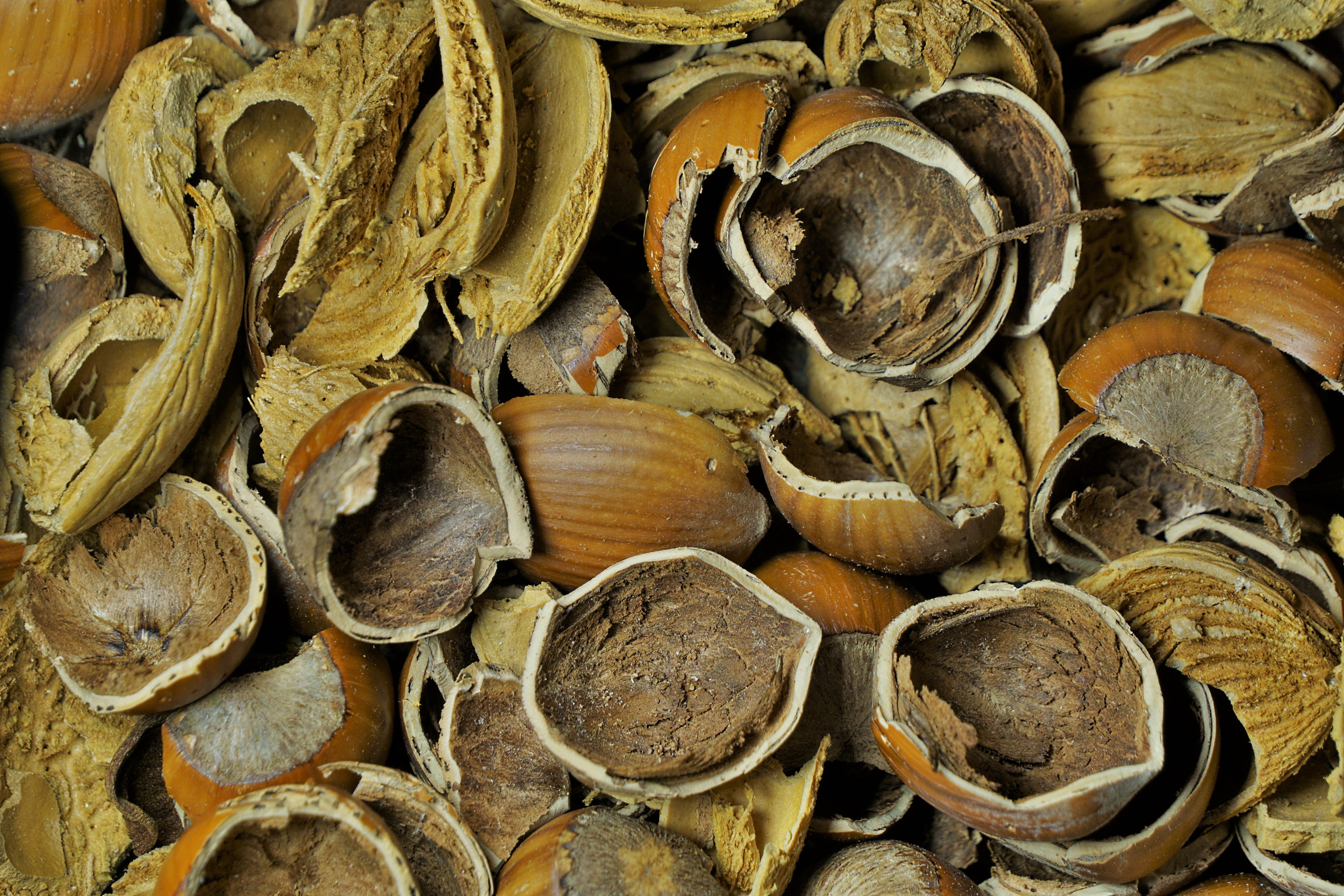 wood - material, large group of objects, still life, hazelnuts, wood, full frame, cracked, nutshells, eat, textured, food, tree, shape, nutcracker, noise almond, HD Wallpaper
