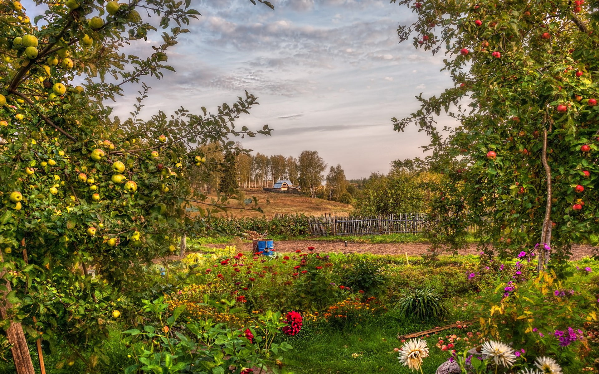 garden, apples, hdr, summer, flowers, orchard, landscape, 1080P, HD Wallpaper