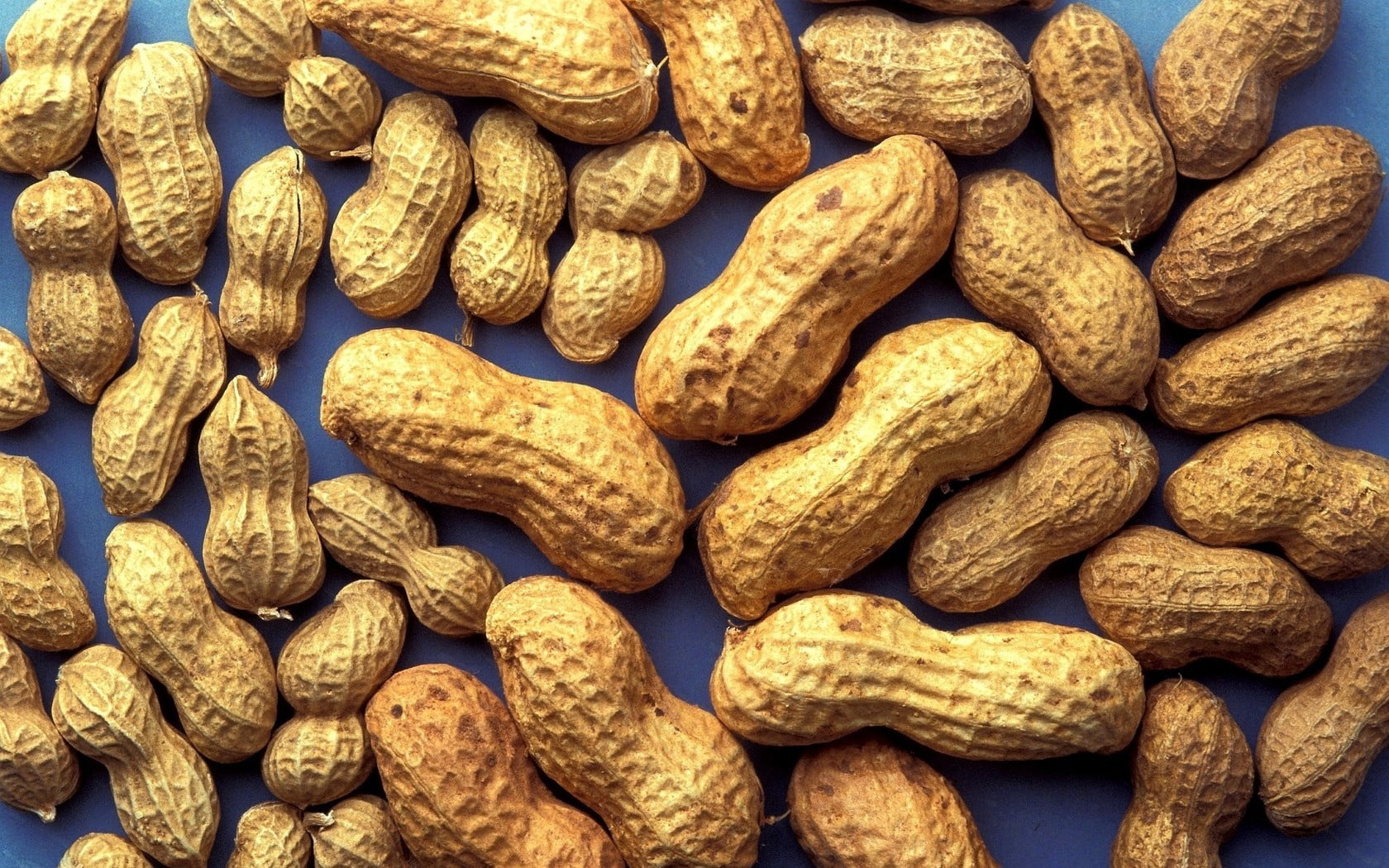 gourmet, still life, shell, heap, market, peanuts, bread, freshness, nut, close-up, large group of objects, abundance, vegetarian Food, no people, background, HD Wallpaper