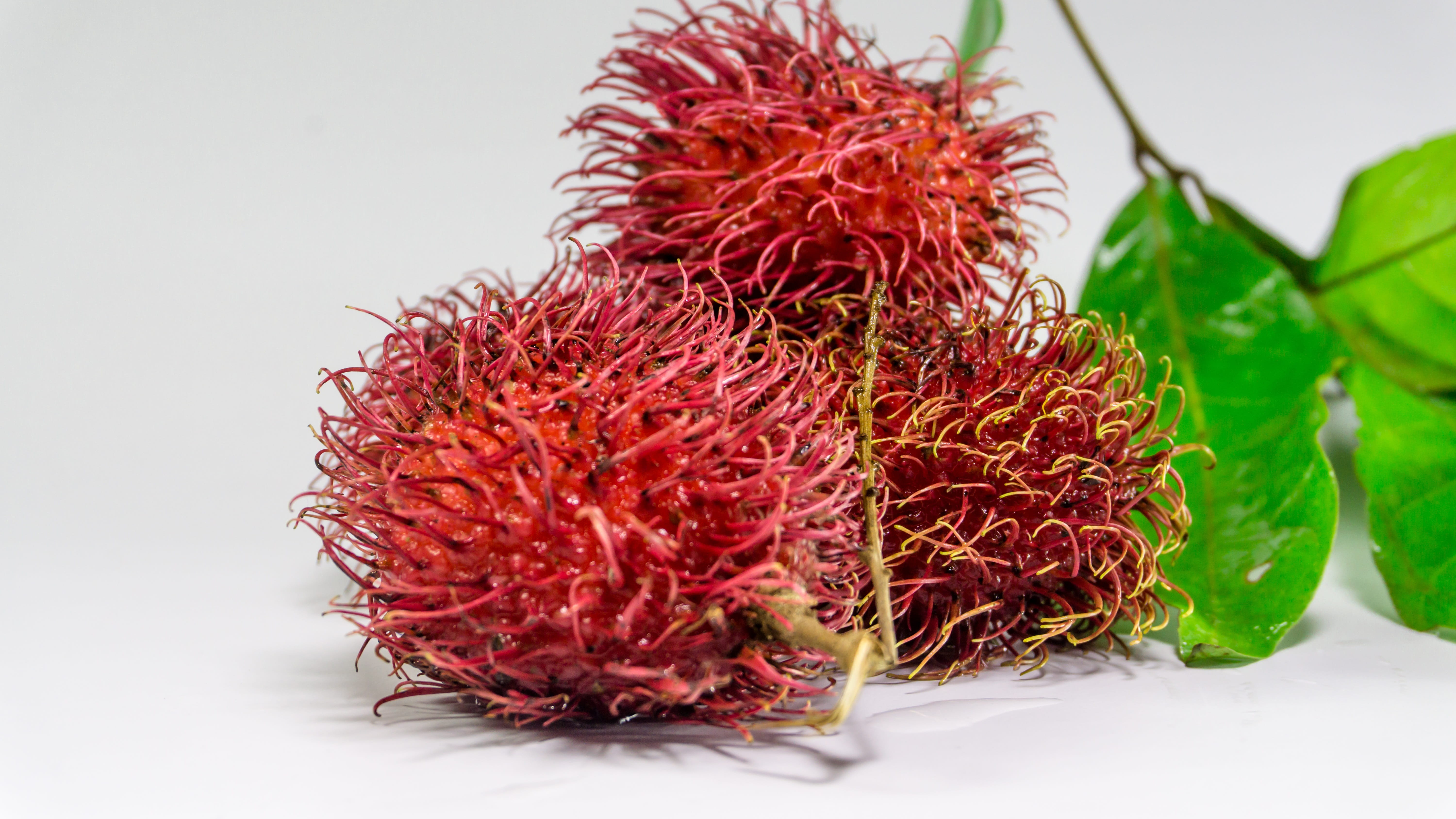 thai, food, ripe, asia, spiky, closeup, indoors, natural, 5K, organic, white, no people, health, healthy lifestyle, tree, vegetarian food, ftuits, exotic, HD Wallpaper
