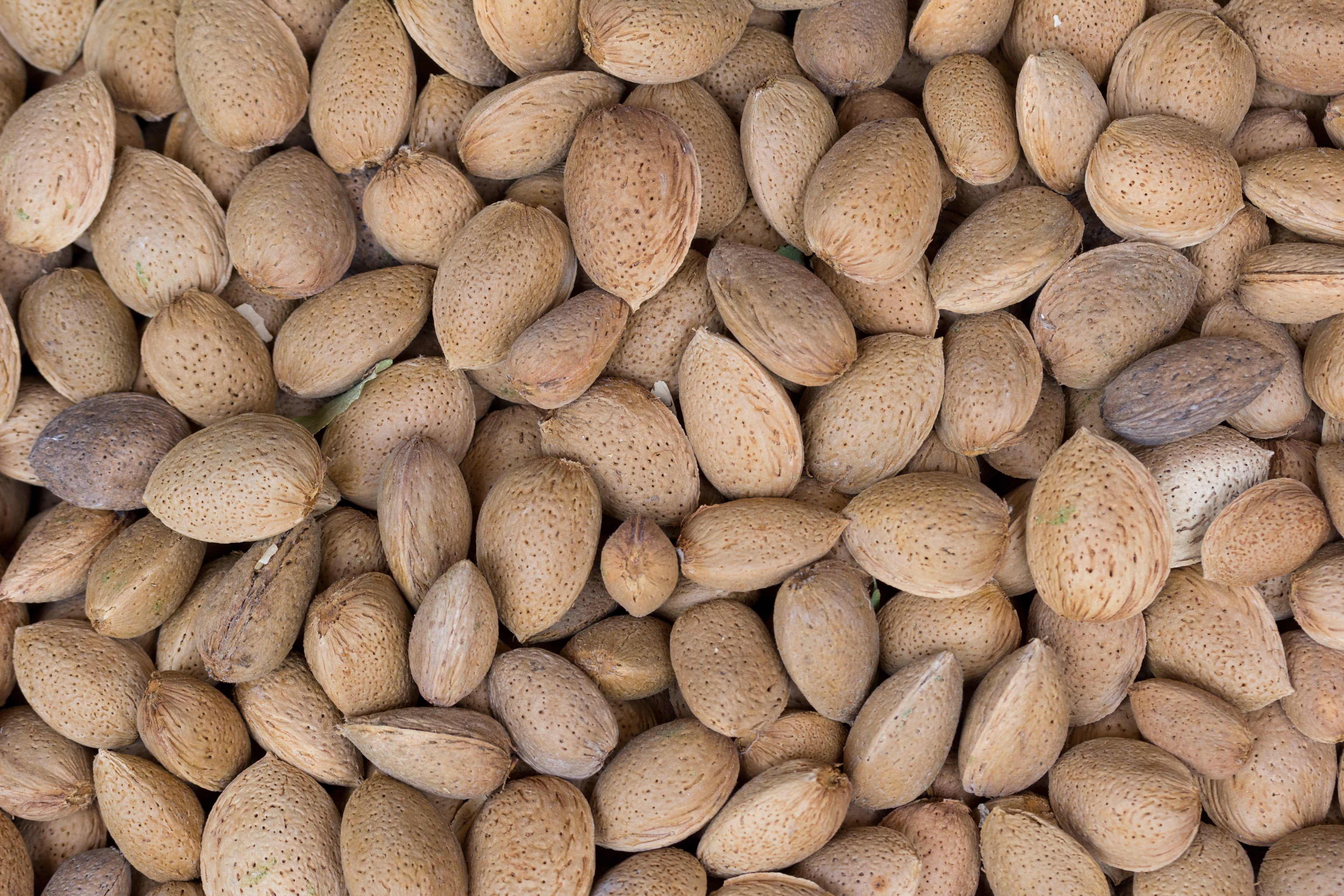 nutritious, ingredient, freshness, nuts, healthy eating, market, agriculture, variation, full frame, for sale, nut - Food, food, still life, lot, fruit, HD Wallpaper